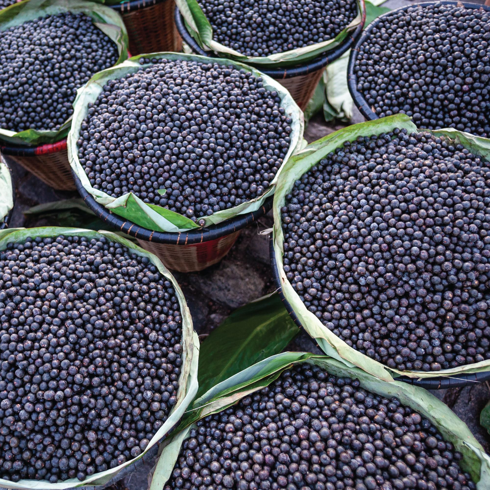 Foto 5 pulgar | Acai Powder Wilderness Poets Orgánico Liofilizado 100 G - Venta Internacional.