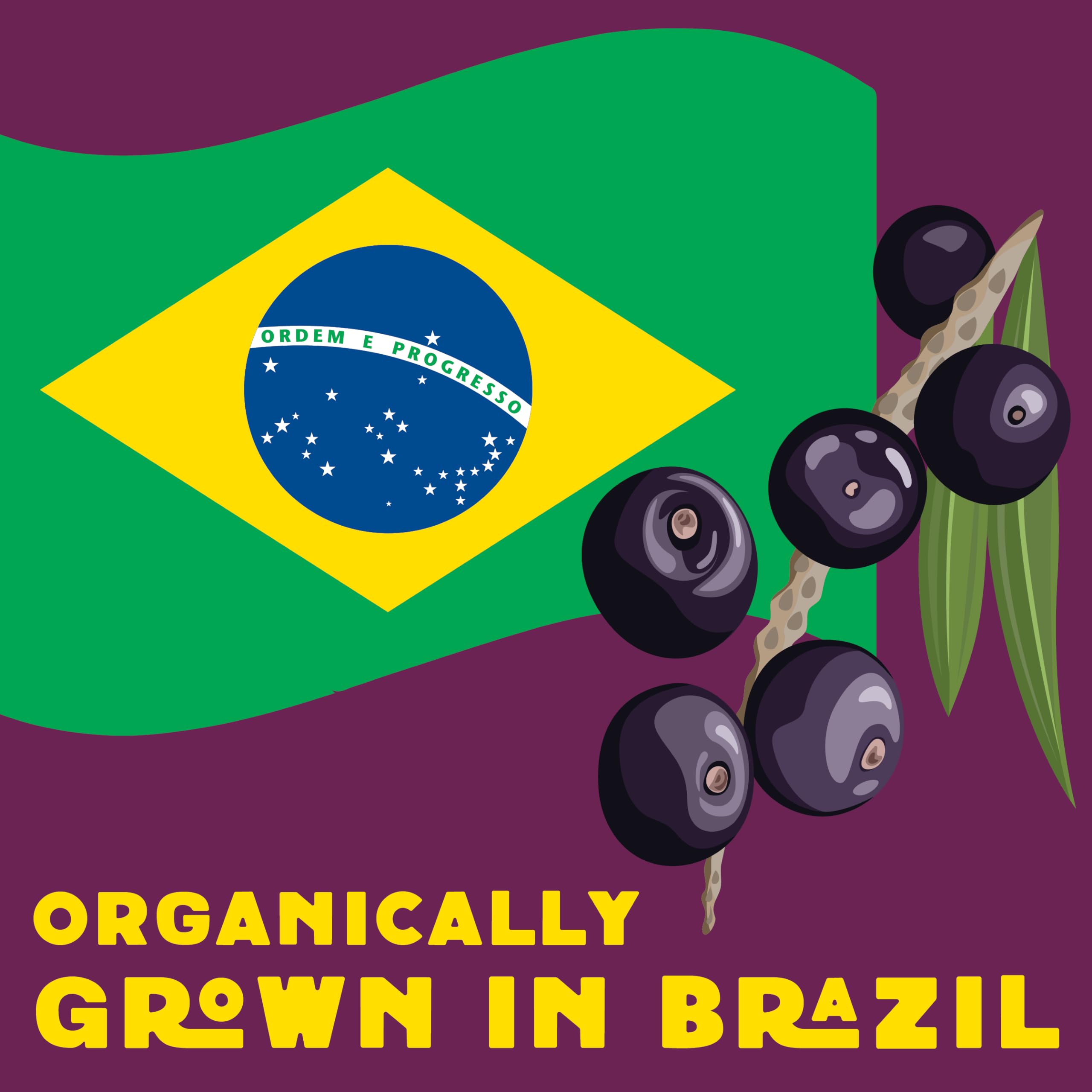 Foto 7 pulgar | Acai Powder Wilderness Poets Orgánico Liofilizado 100 G - Venta Internacional.