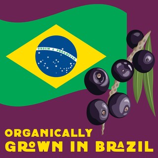 Foto 6 | Acai Powder Wilderness Poets Orgánico Liofilizado 100 G - Venta Internacional.
