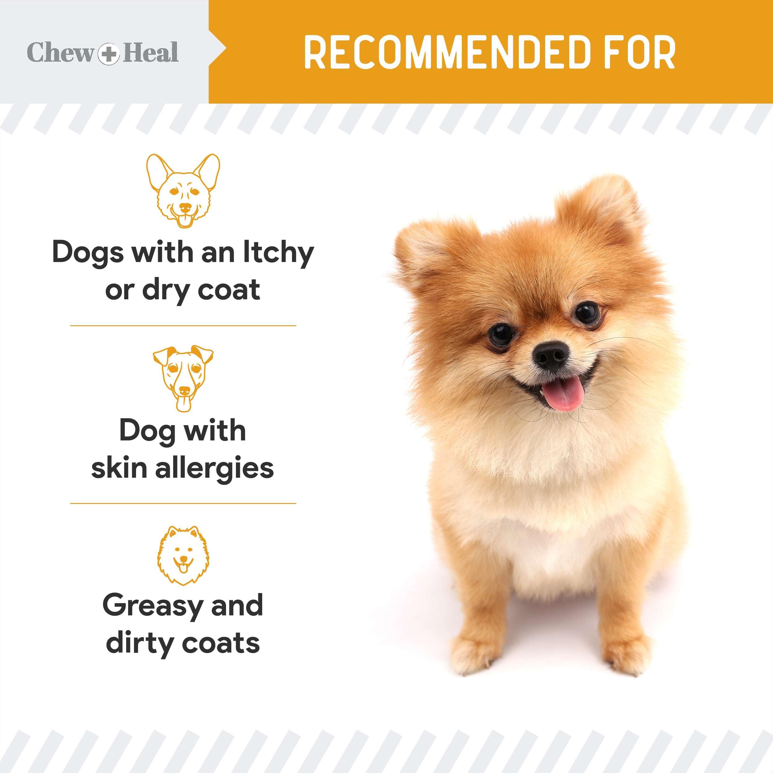 Foto 5 | Suplemento De Aceite De Salmón Noruego Chew + Heal  240 Ml  Para Perros - Venta Internacional.