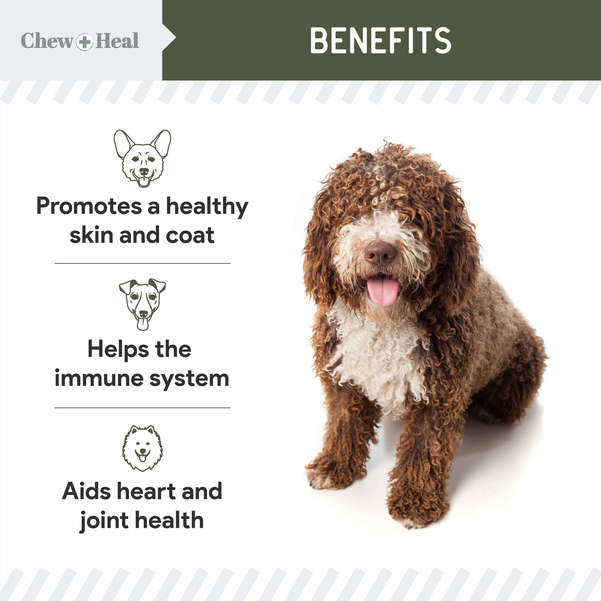 Foto 4 pulgar | Suplemento De Aceite De Hígado De Bacalao Chew + Heal Para Perros  473 Ml - Venta Internacional.