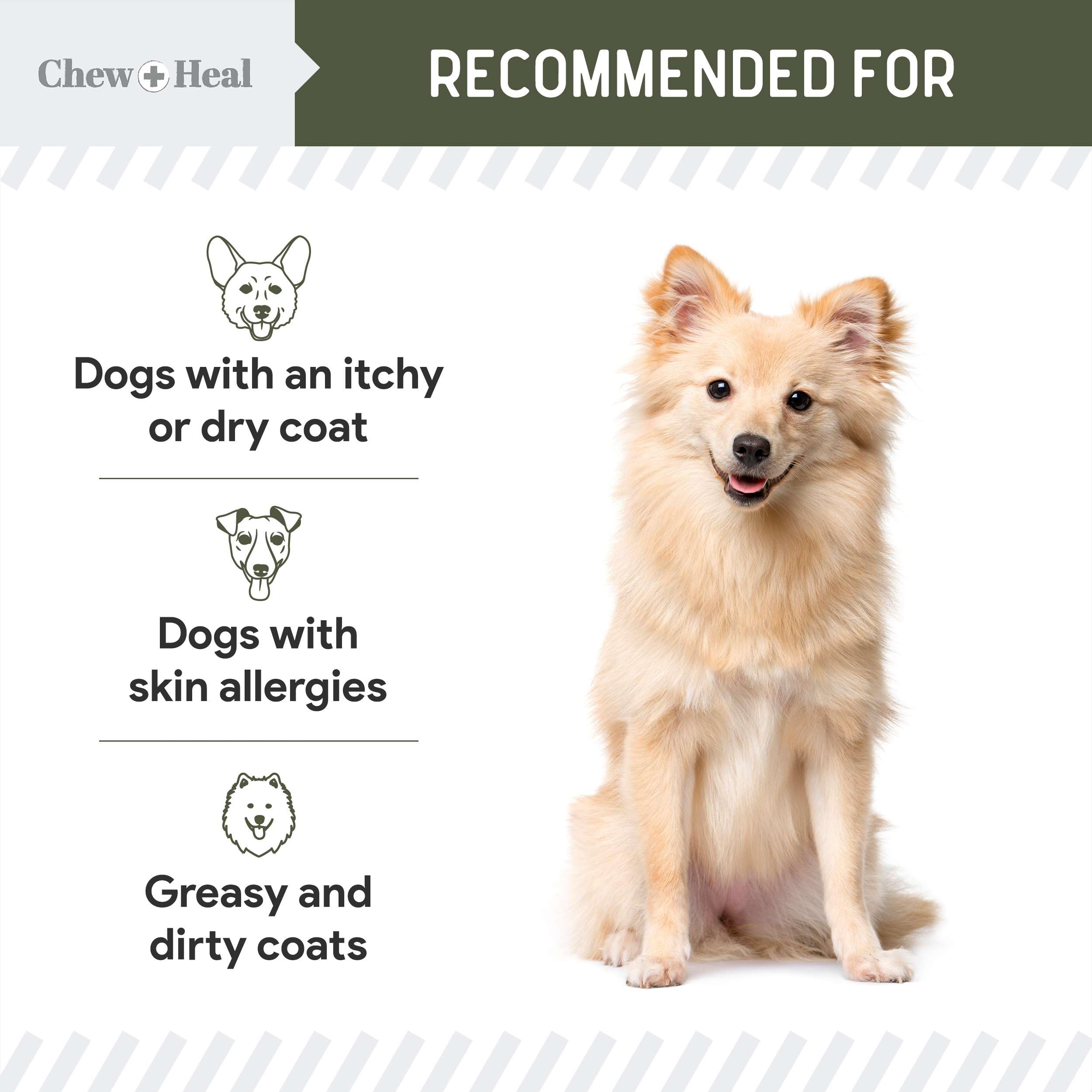 Foto 5 | Suplemento De Aceite De Hígado De Bacalao Chew + Heal Para Perros  473 Ml - Venta Internacional.