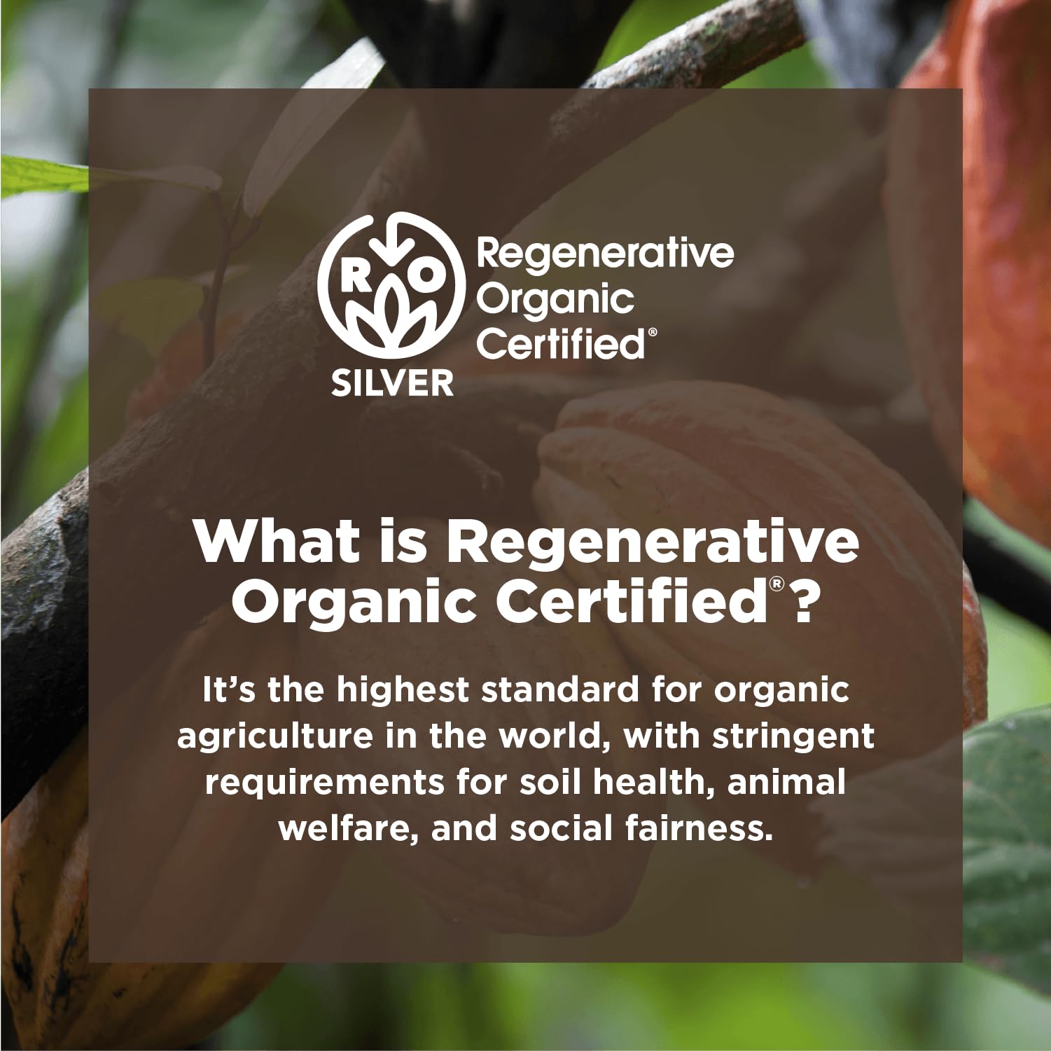 Foto 6 | Cacao En Polvo Navitas Organics Regenerative Organic 680 Ml - Venta Internacional.