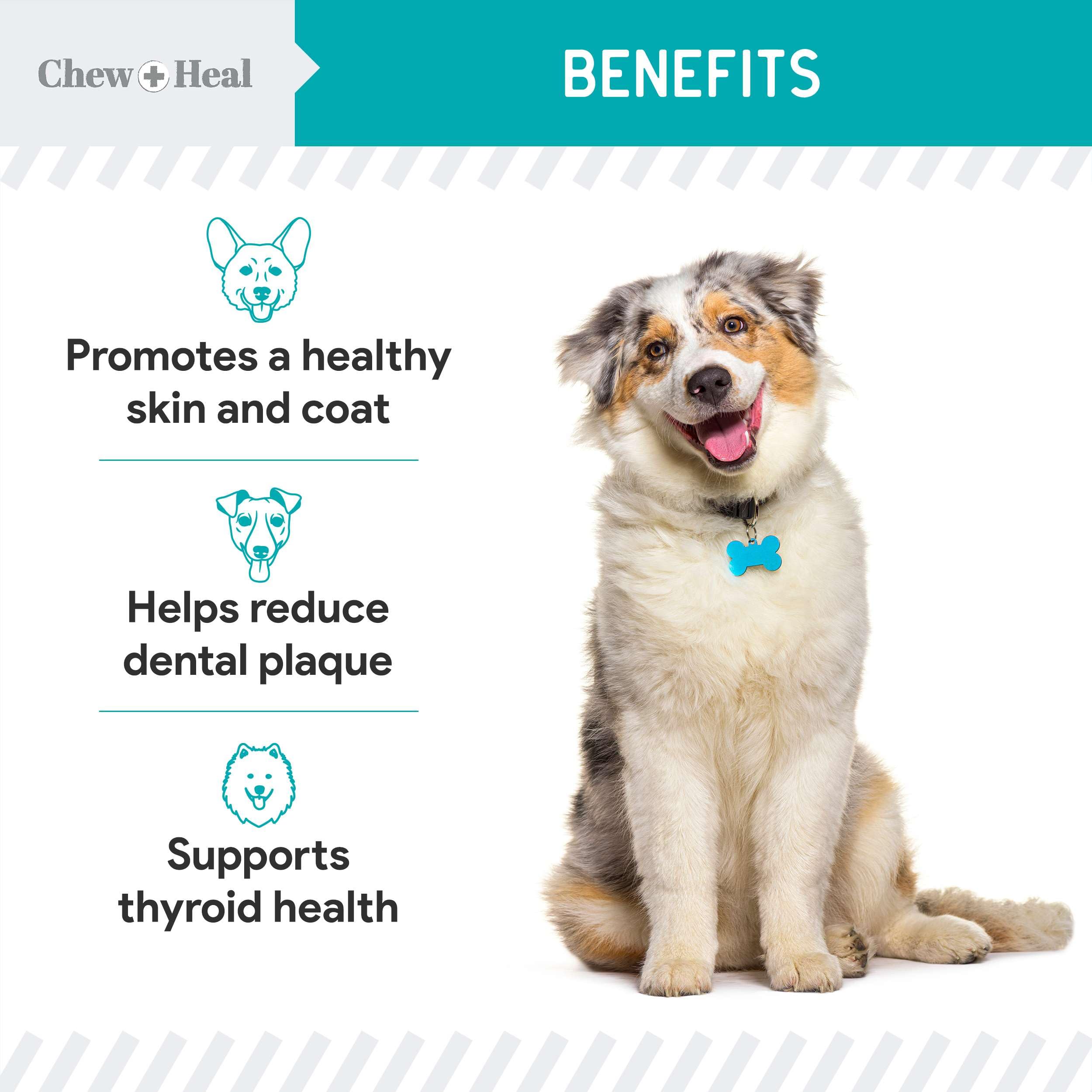 Foto 3 | Suplemento De Algas Marinas Chew + Heal Labs Para Perros 473 Ml Con Cuchara - Venta Internacional.