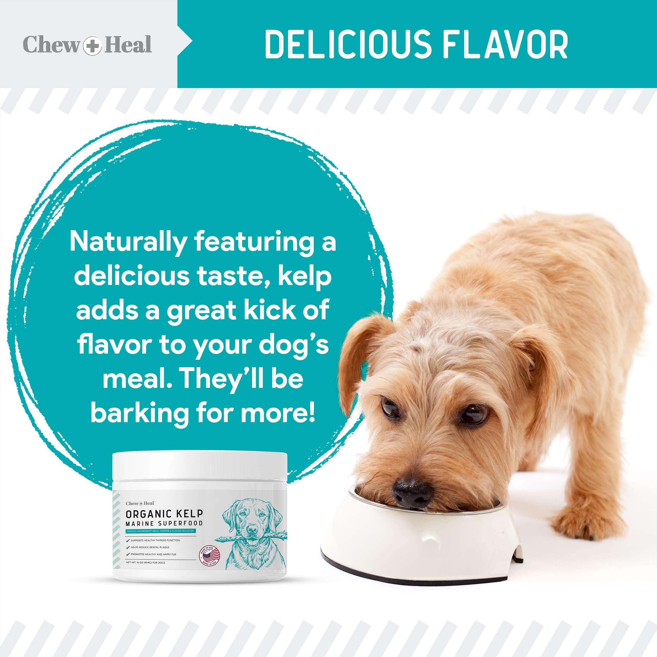 Foto 6 pulgar | Suplemento De Algas Marinas Chew + Heal Labs Para Perros 473 Ml Con Cuchara - Venta Internacional.