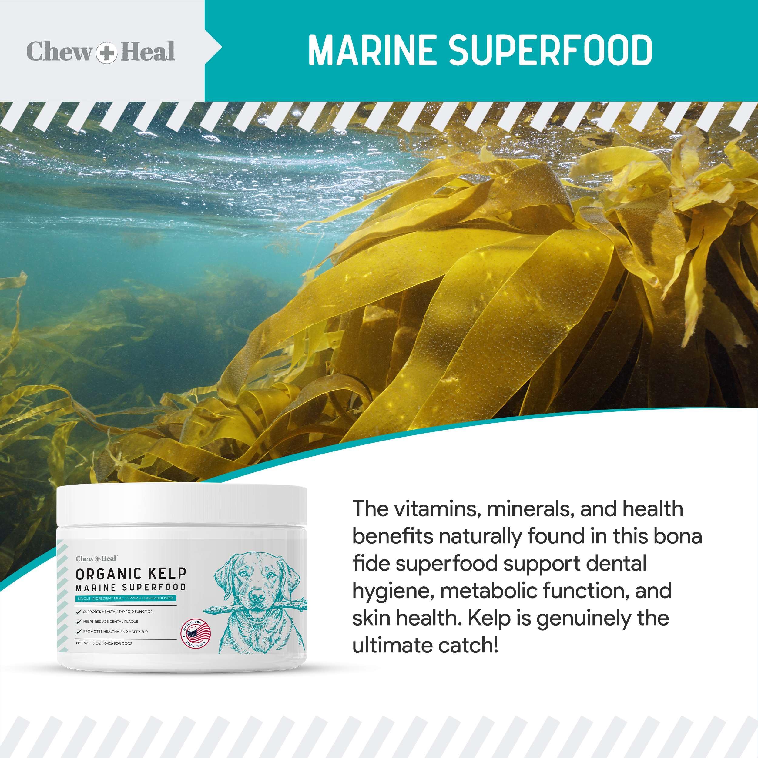 Foto 8 pulgar | Suplemento De Algas Marinas Chew + Heal Labs Para Perros 473 Ml Con Cuchara - Venta Internacional.