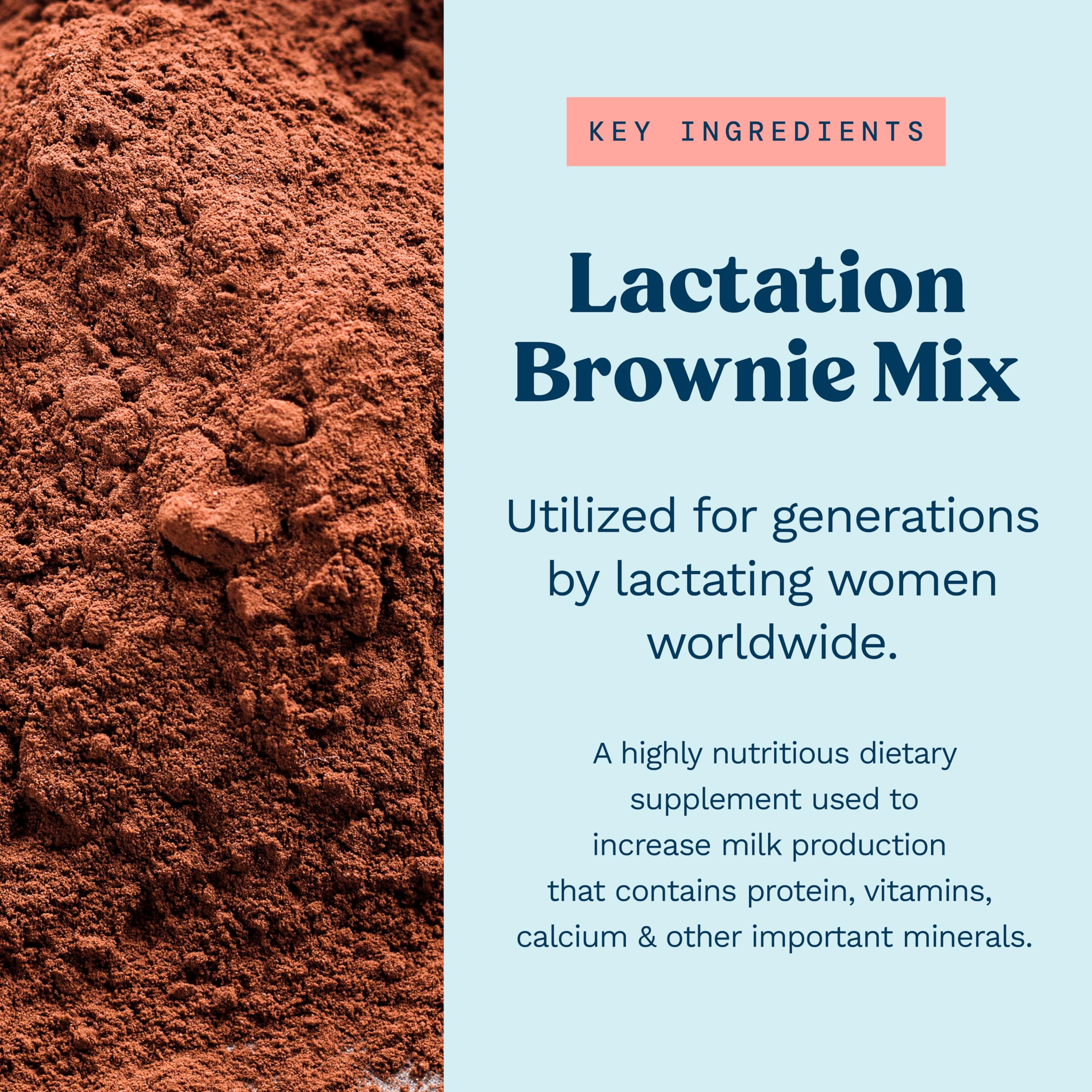 Foto 4 pulgar | Suplemento De Lactancia Lactation Brownie Mix Double Chocolate - Venta Internacional.