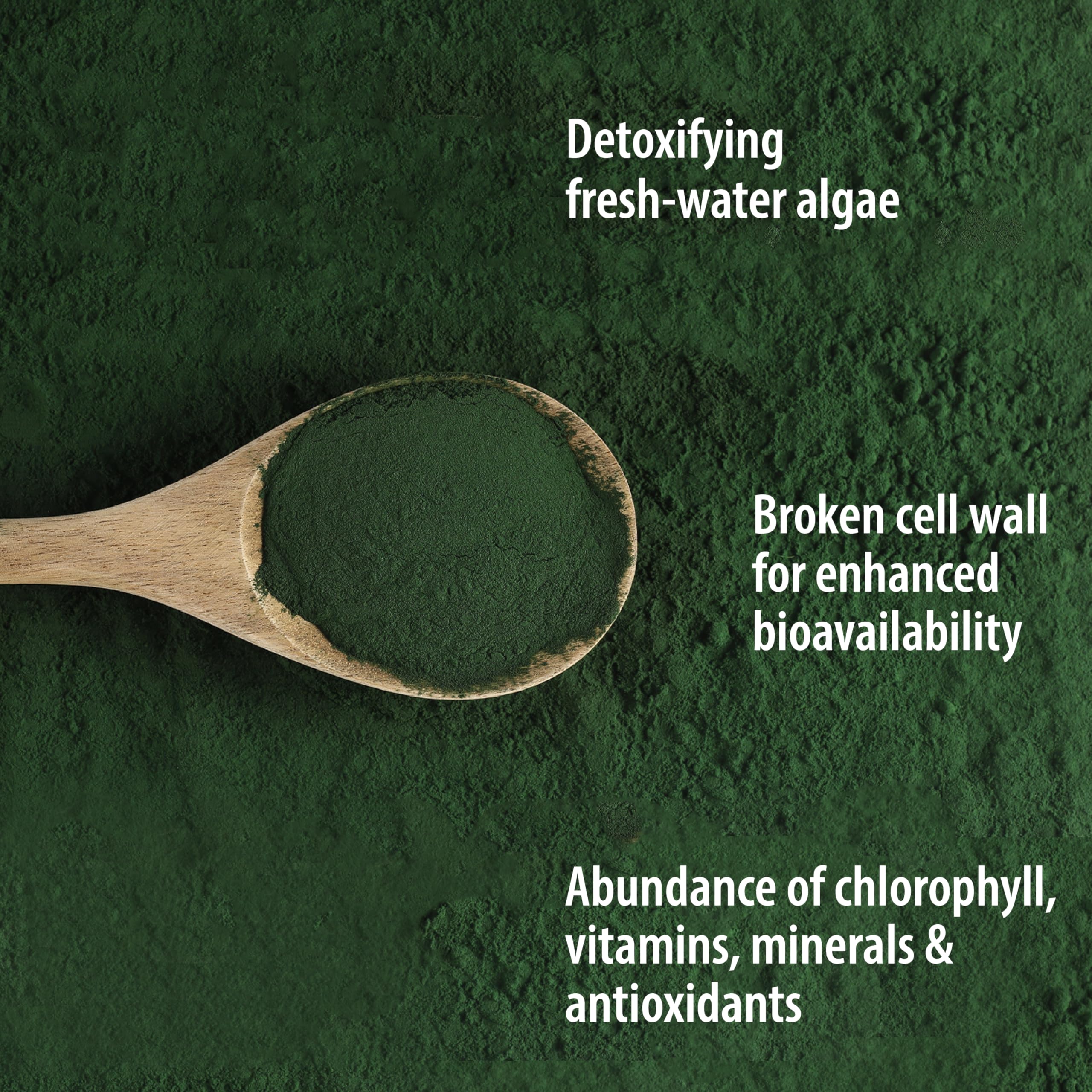 Foto 4 pulgar | Chlorella En Polvo Organic Traditions  150 G  Vegana  Sin Ogm - Venta Internacional.