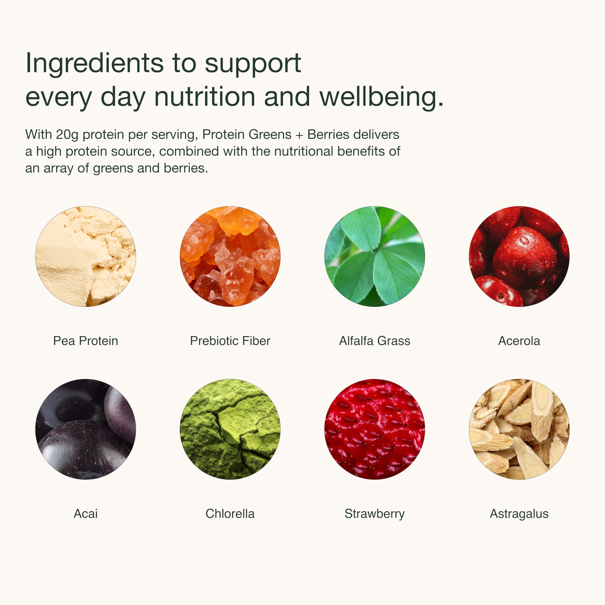 Foto 6 | Superalimento En Polvo Nuzest Protein Greens + Berries  300 G - Venta Internacional.
