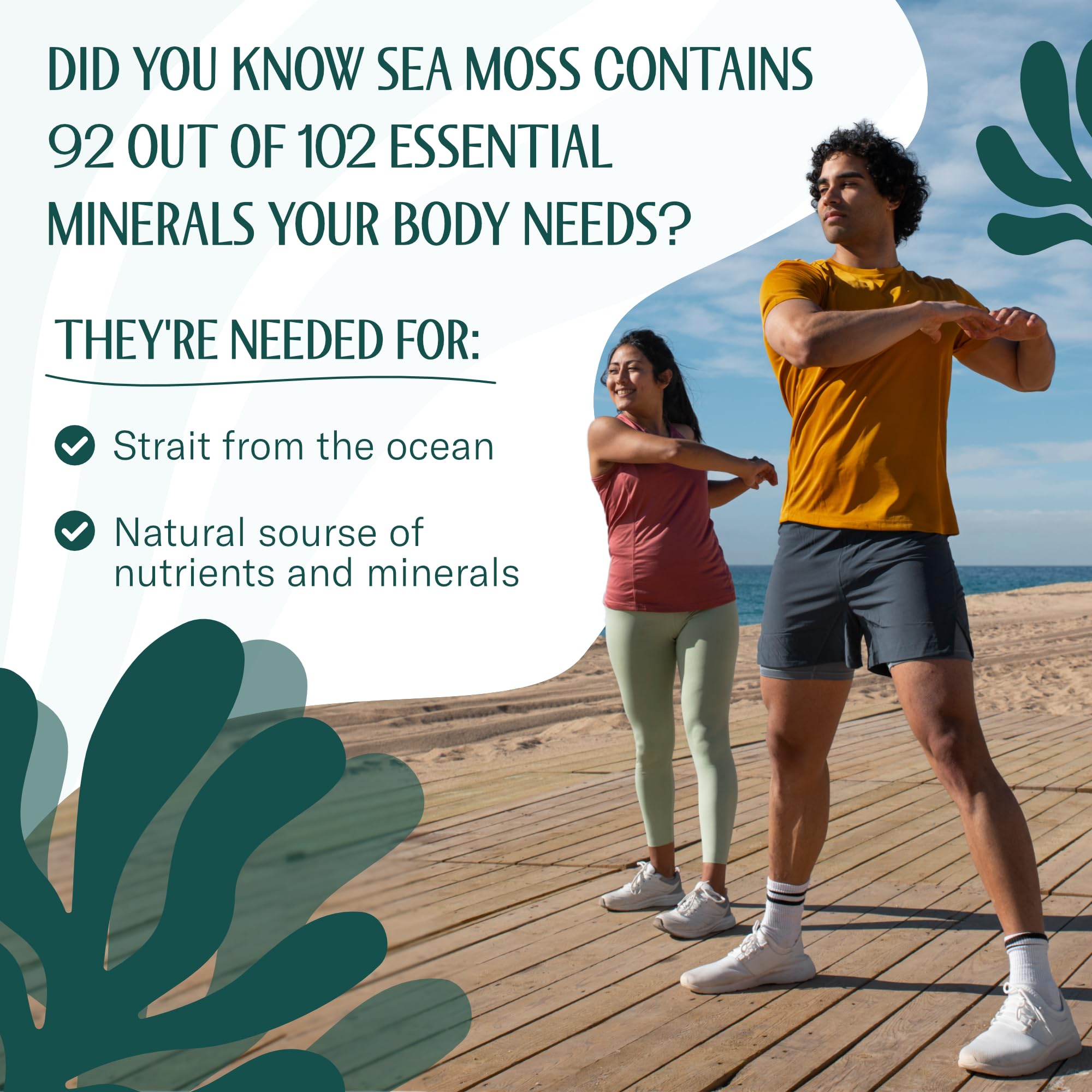 Foto 7 pulgar | Sea Moss Trueseamoss  Gel De Musgo Marino Irlandés Crudo  100 Ml  Paquete De 8 Onzas - Venta Internacional.