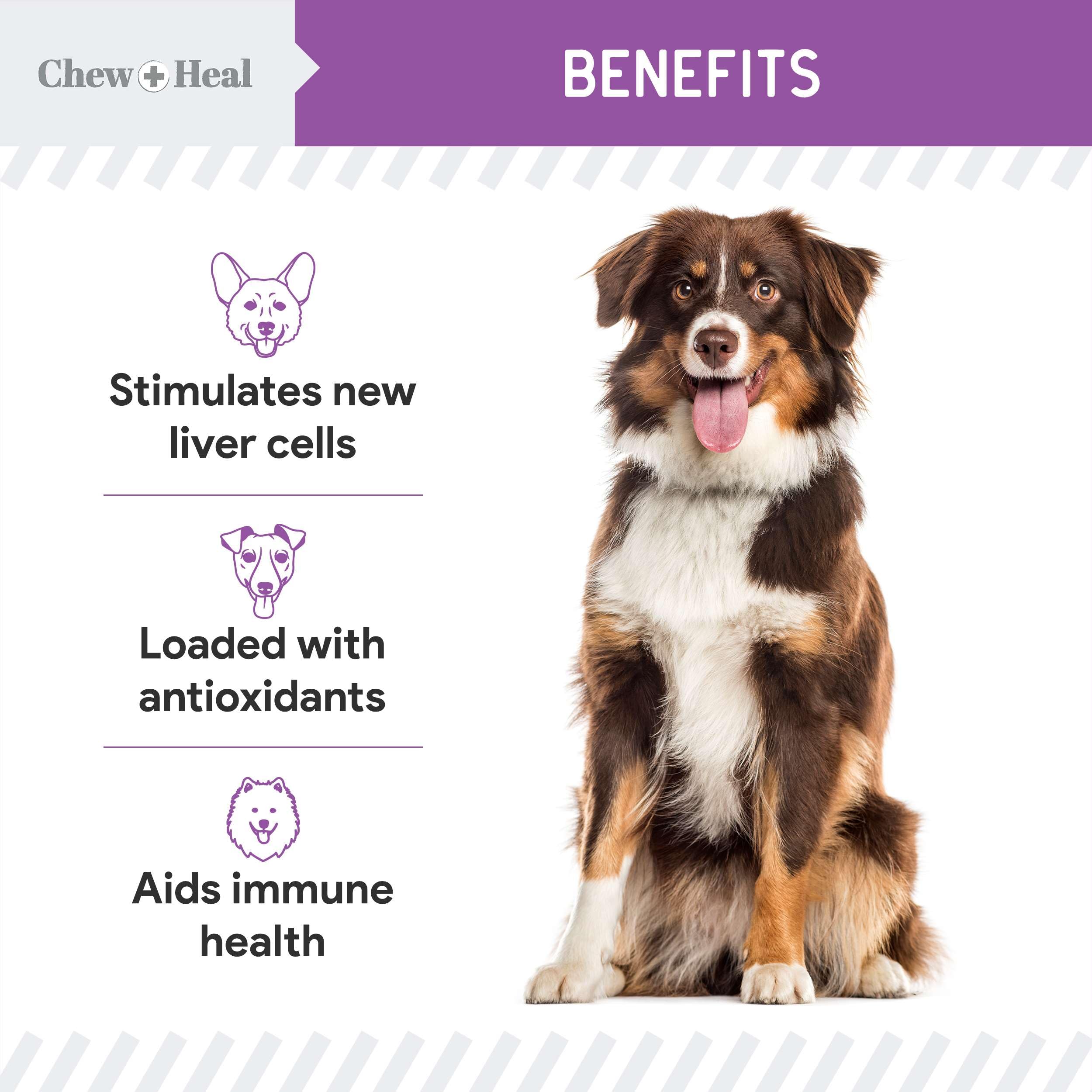 Foto 4 pulgar | Suplemento Chew + Heal Milk Thistle  60 Ml  Para Ayudar Al Hígado De Los Perros - Venta Internacional.