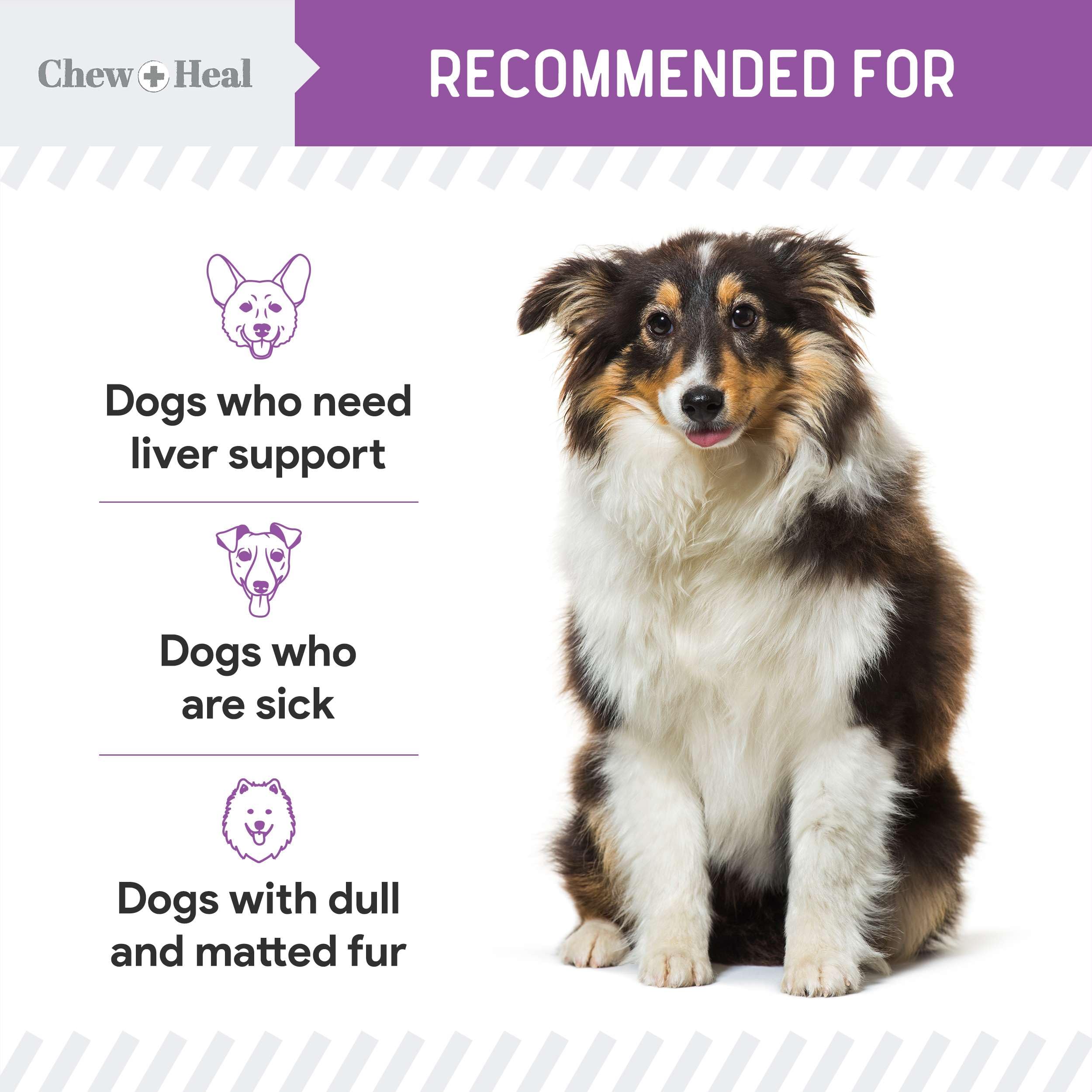 Foto 5 pulgar | Suplemento Chew + Heal Milk Thistle  60 Ml  Para Ayudar Al Hígado De Los Perros - Venta Internacional.