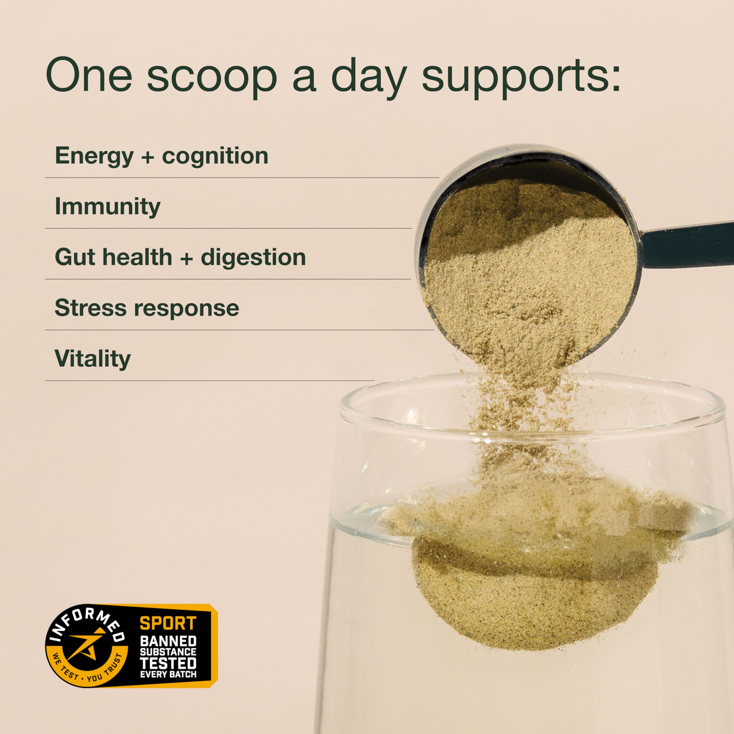 Foto 3 | Suplemento Nuzest Good Green Vitality Powder  10 G (paquete De 5) - Venta Internacional.