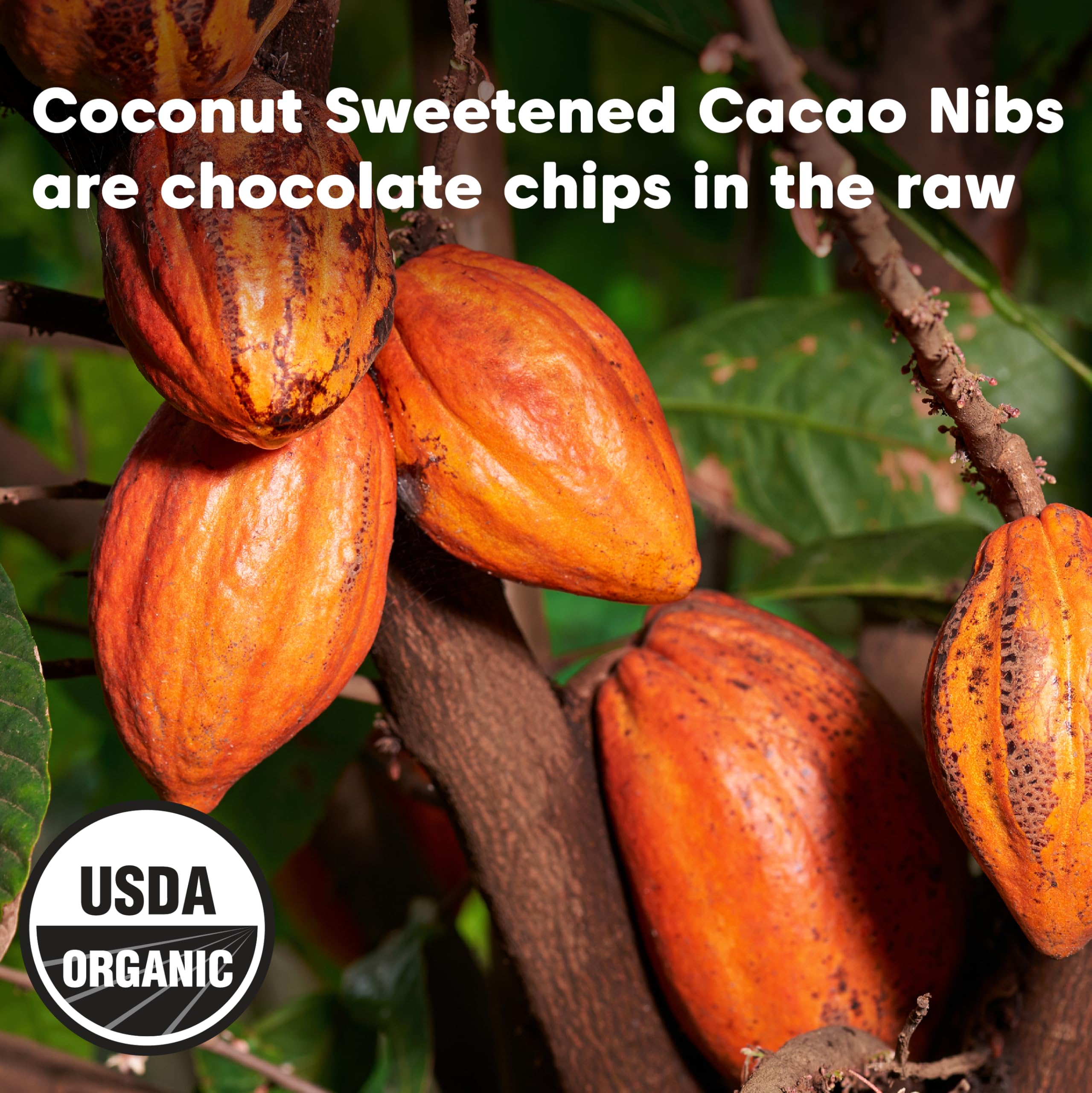 Foto 4 pulgar | Cacao Nibs Wilderness Poets Endulzado Con Néctar De Coco 227 G - Venta Internacional.