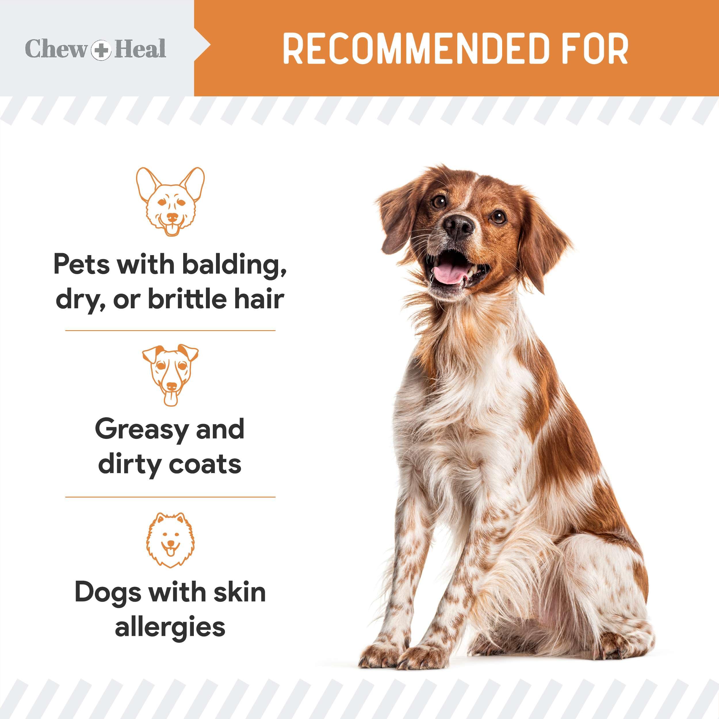 Foto 4 | Suplemento Chew + Heal Omega 3 De Aceite De Pescado 180 Cápsulas Blandas Para Perros - Venta Internacional.