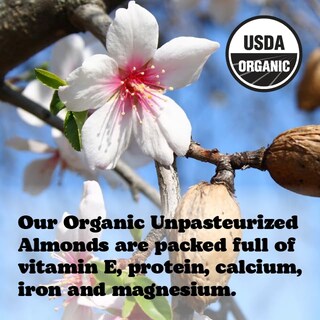 Foto 5 | Almonds Wilderness Poets Sin Pasteurizar Sin Pasteurizar Orgánico 250 Ml - Venta Internacional.