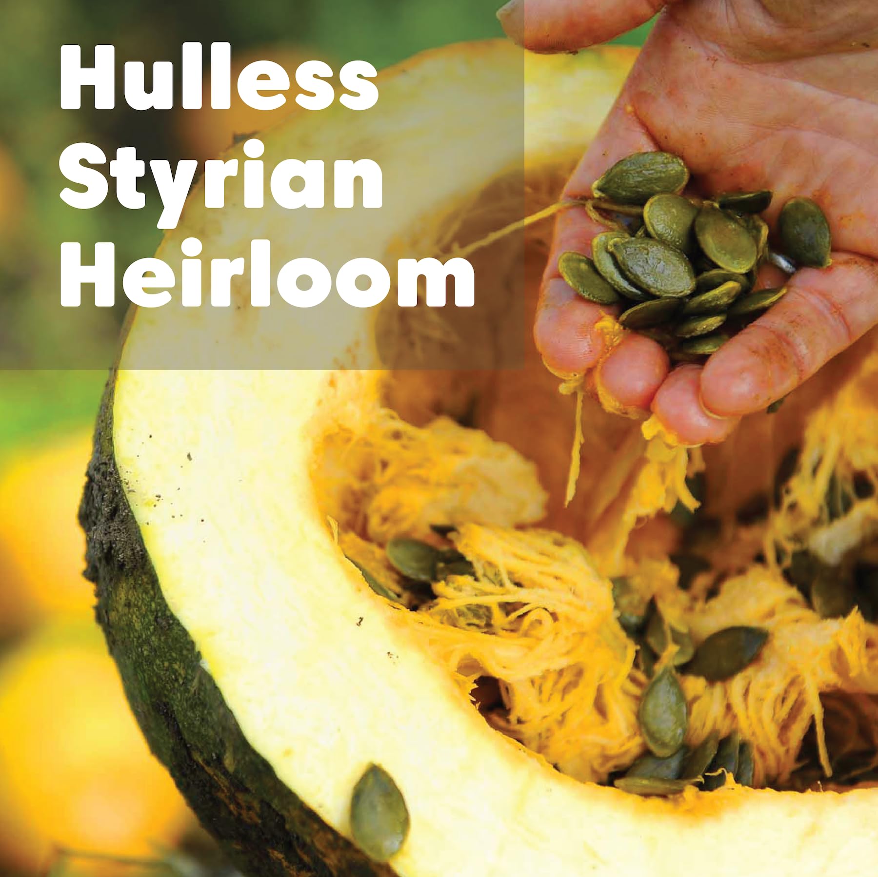 Foto 4 pulgar | Semillas De Calabaza Wilderness Poets Oregon Organic Heirloom 250 Ml - Venta Internacional.