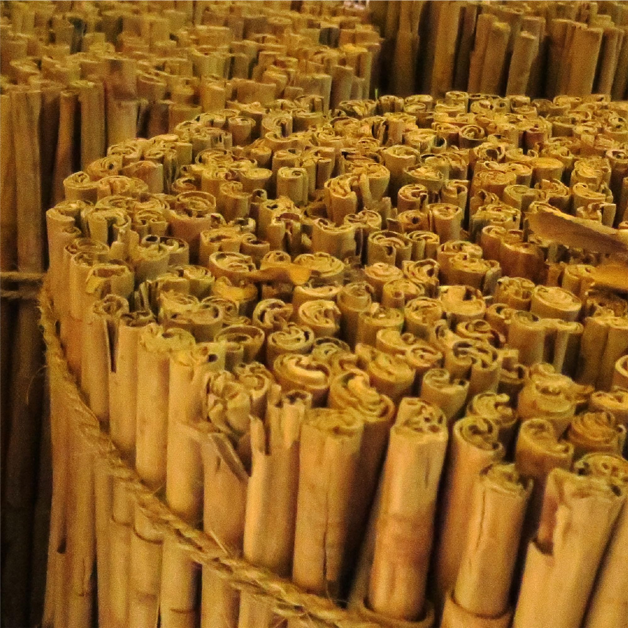 Foto 4 pulgar | Palitos De Canela Frontier Co-op Organic Ceilán 454 G - Venta Internacional.