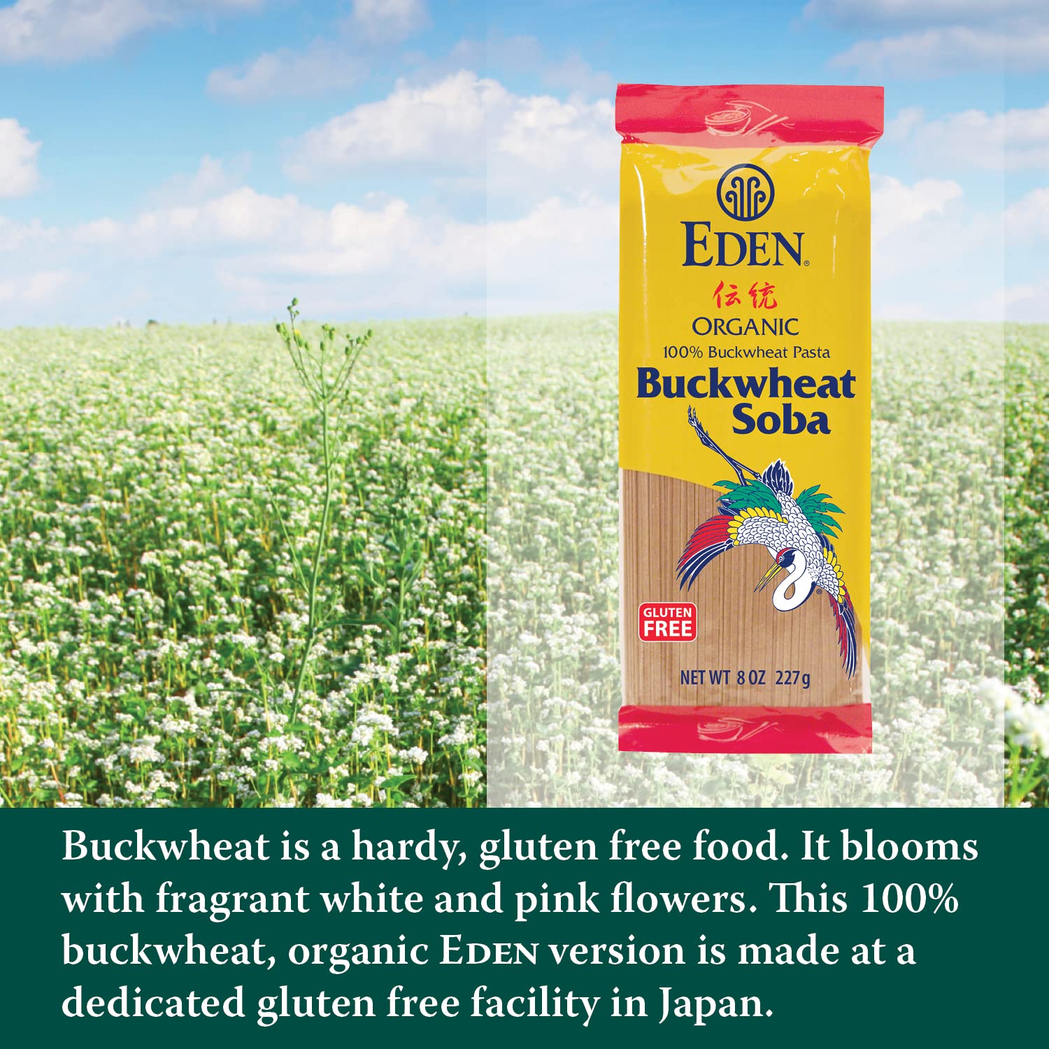 Foto 5 | Soba De Trigo Sarraceno Pasta Eden  100% Orgánico  Sin Gluten  250 Ml - Venta Internacional.