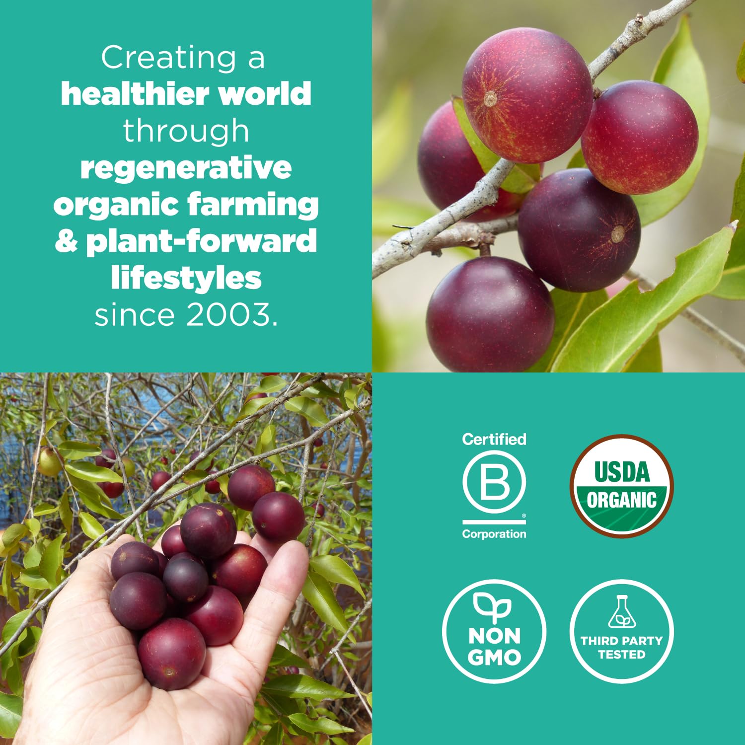 Foto 5 | Camu Camu En Polvo Navitas Organics 85 G Orgánico Sin Ogm - Venta Internacional.