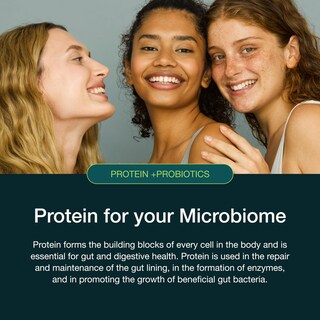 Foto 4 | Proteína En Polvo Nuzest Protein + Probiotics 300 G De Vainilla Francesa - Venta Internacional.