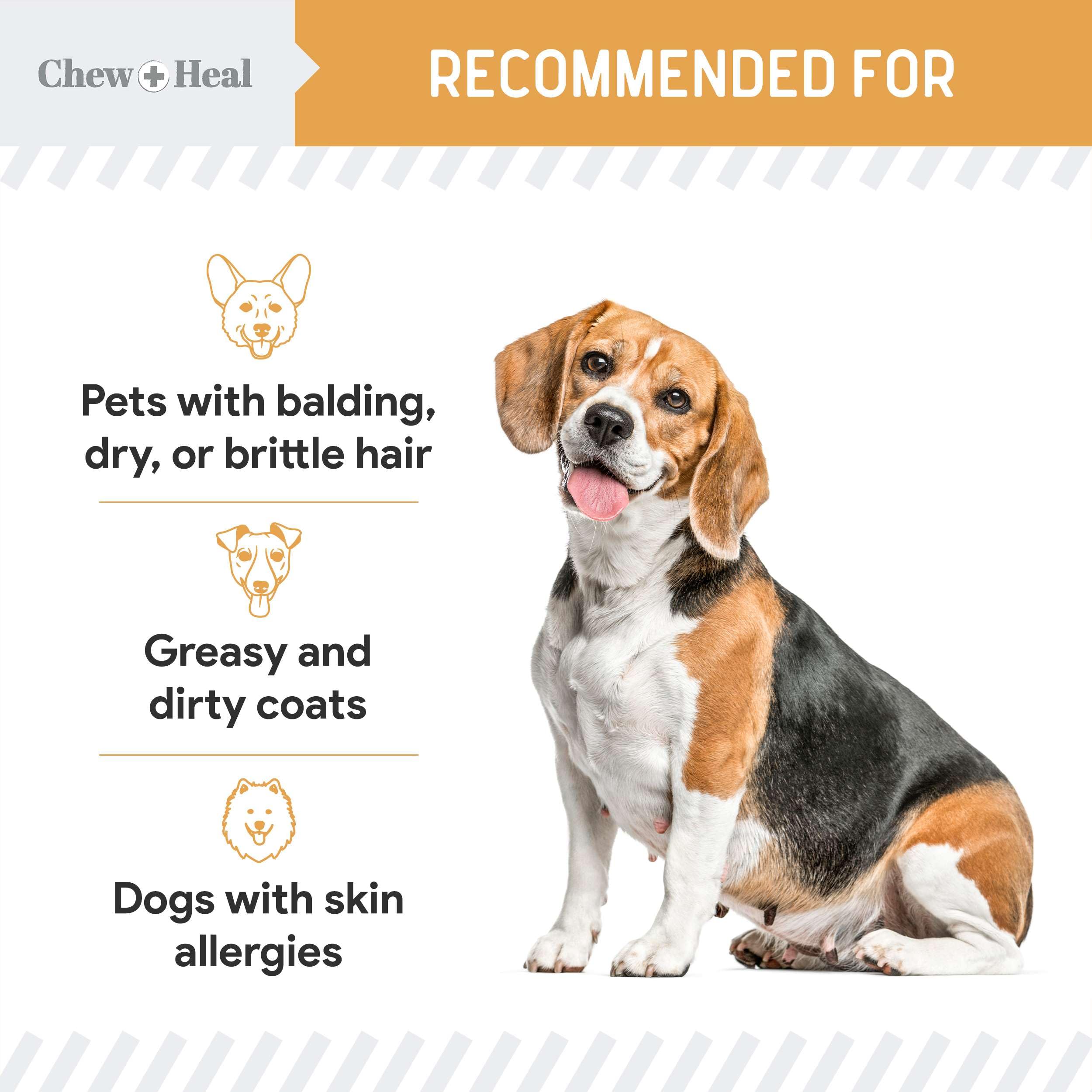 Foto 4 | Suplemento De Aceite De Pescado Chew + Heal Omega 3  1000 Mg Para Perros  180 Cápsulas De Gelatina Blanda - Ven