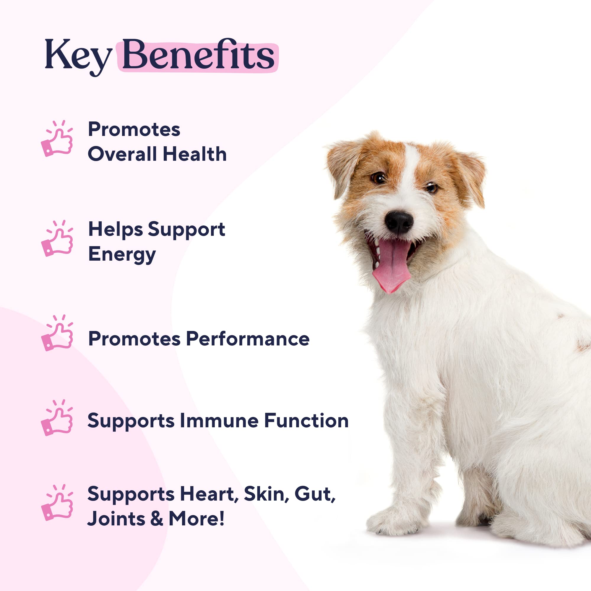 Foto 3 pulgar | Multivitamínico Para Perros Pawfy 15 En 1 Para Piel Y Pelo  30 Masticables - Venta Internacional.