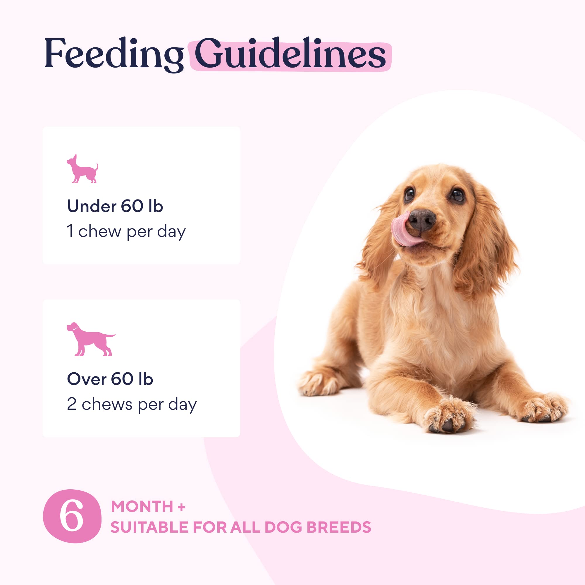 Foto 6 | Multivitamínico Para Perros Pawfy 15 En 1 Para Piel Y Pelo  30 Masticables - Venta Internacional.