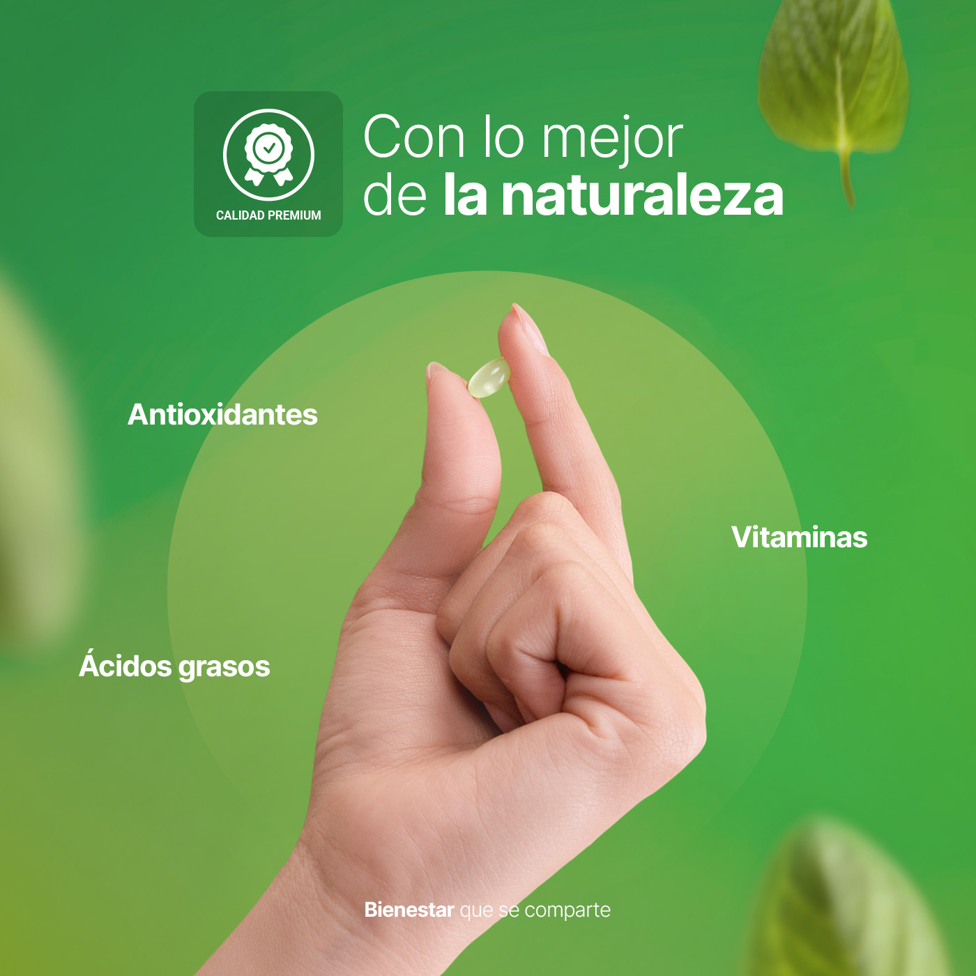 Foto 7 pulgar | Aceite de Orégano B Life 150 Cápsulas con Carvacrol y Vitamina C Oregano Oil