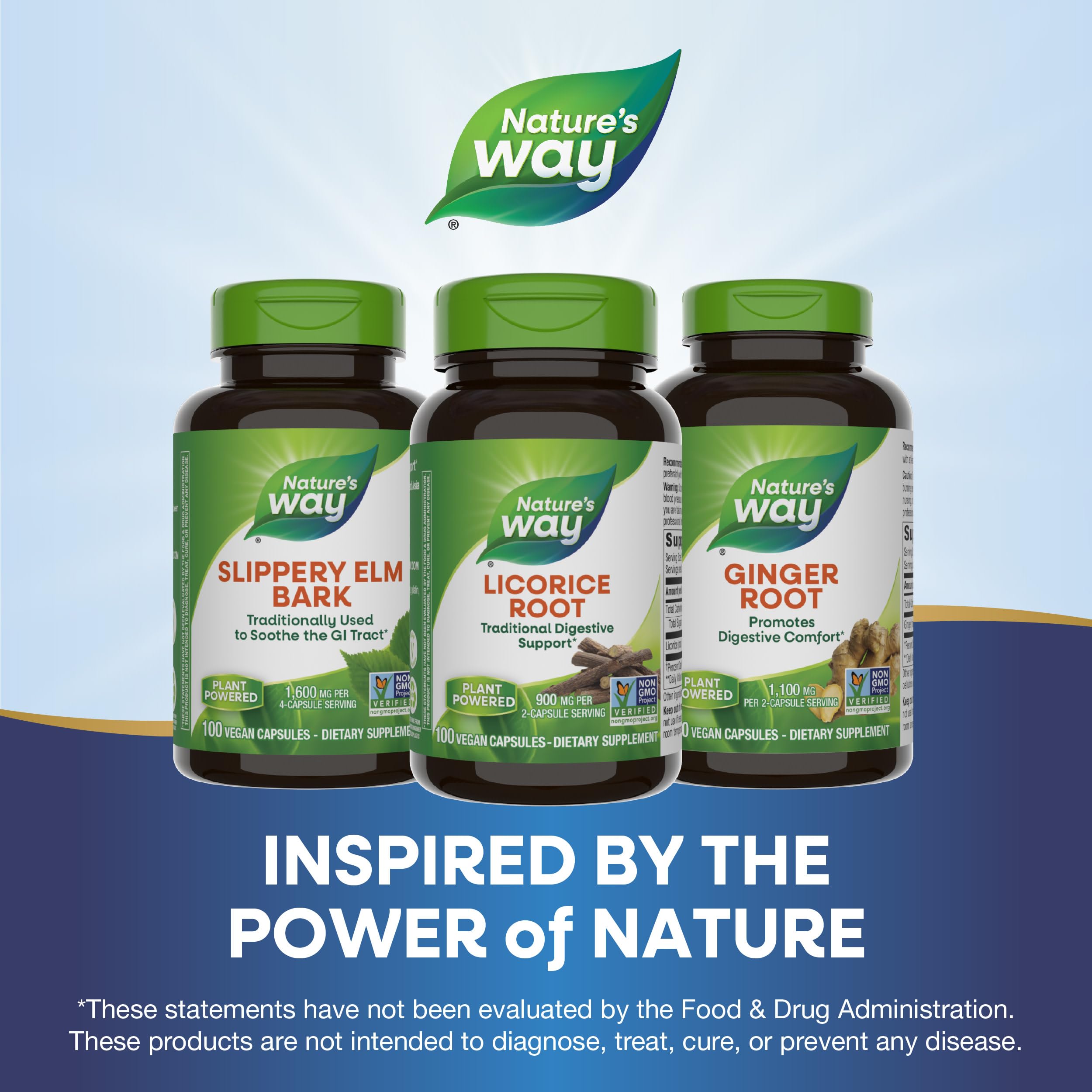 Foto 7 | Suplemento Nature's Way De Apoyo Digestivo A Raíz De Regaliz  100 Cápsulas - Venta Internacional.