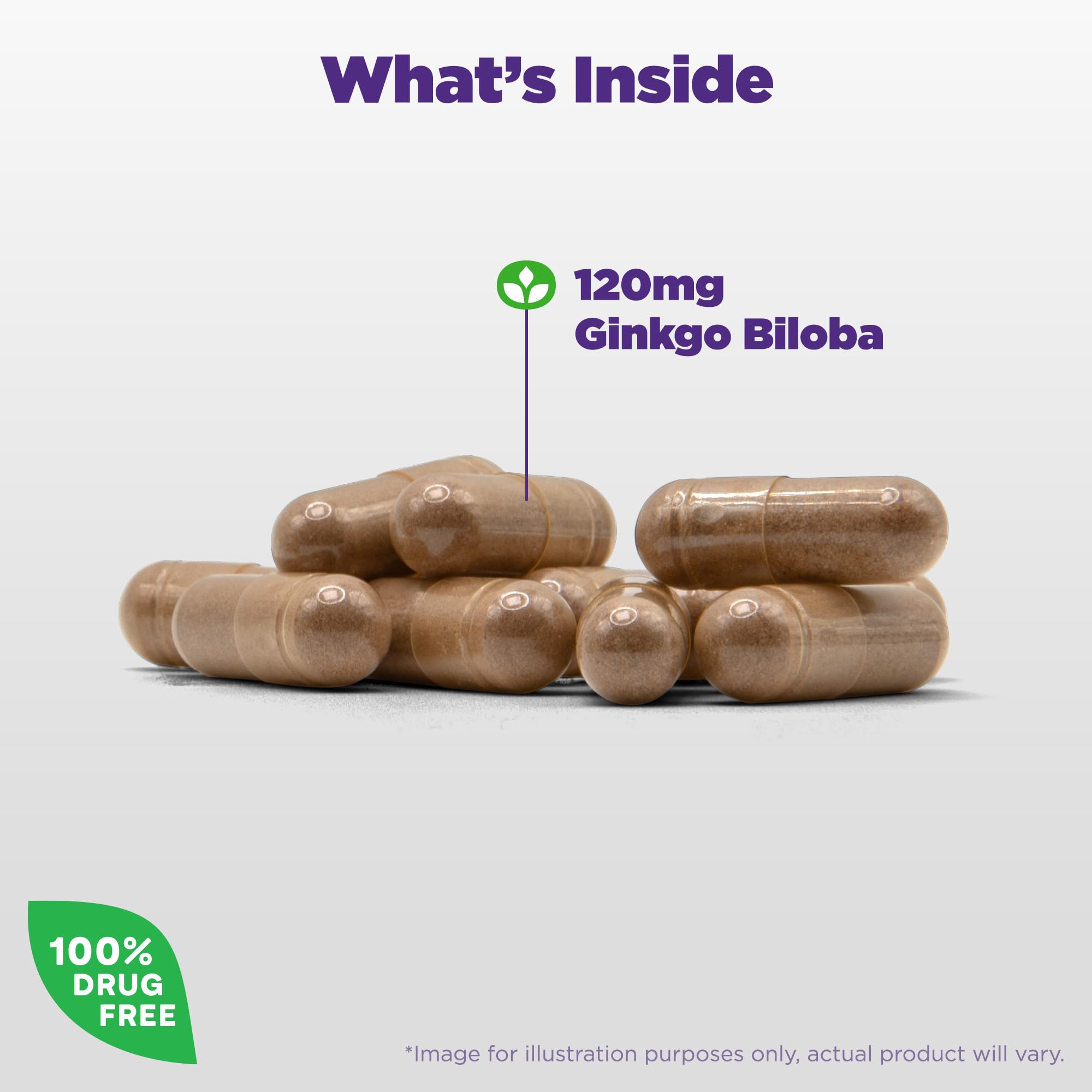 Foto 3 | Suplemento Natrol Brain Health Ginkgo Biloba 120 Mg 60 Cápsulas - Venta Internacional.