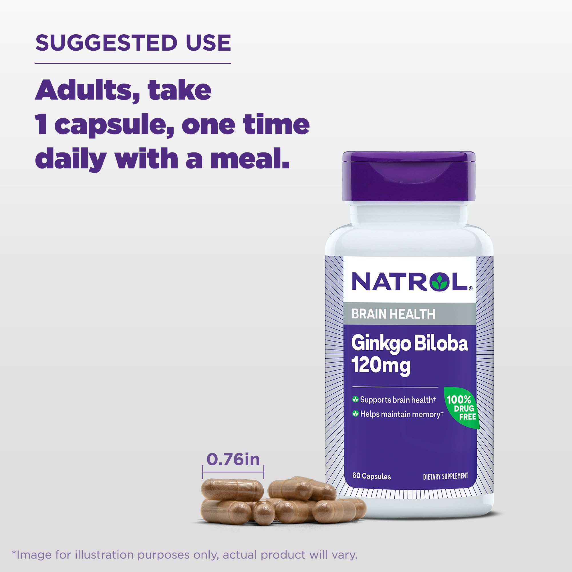 Foto 7 pulgar | Suplemento Natrol Brain Health Ginkgo Biloba 120 Mg 60 Cápsulas - Venta Internacional.