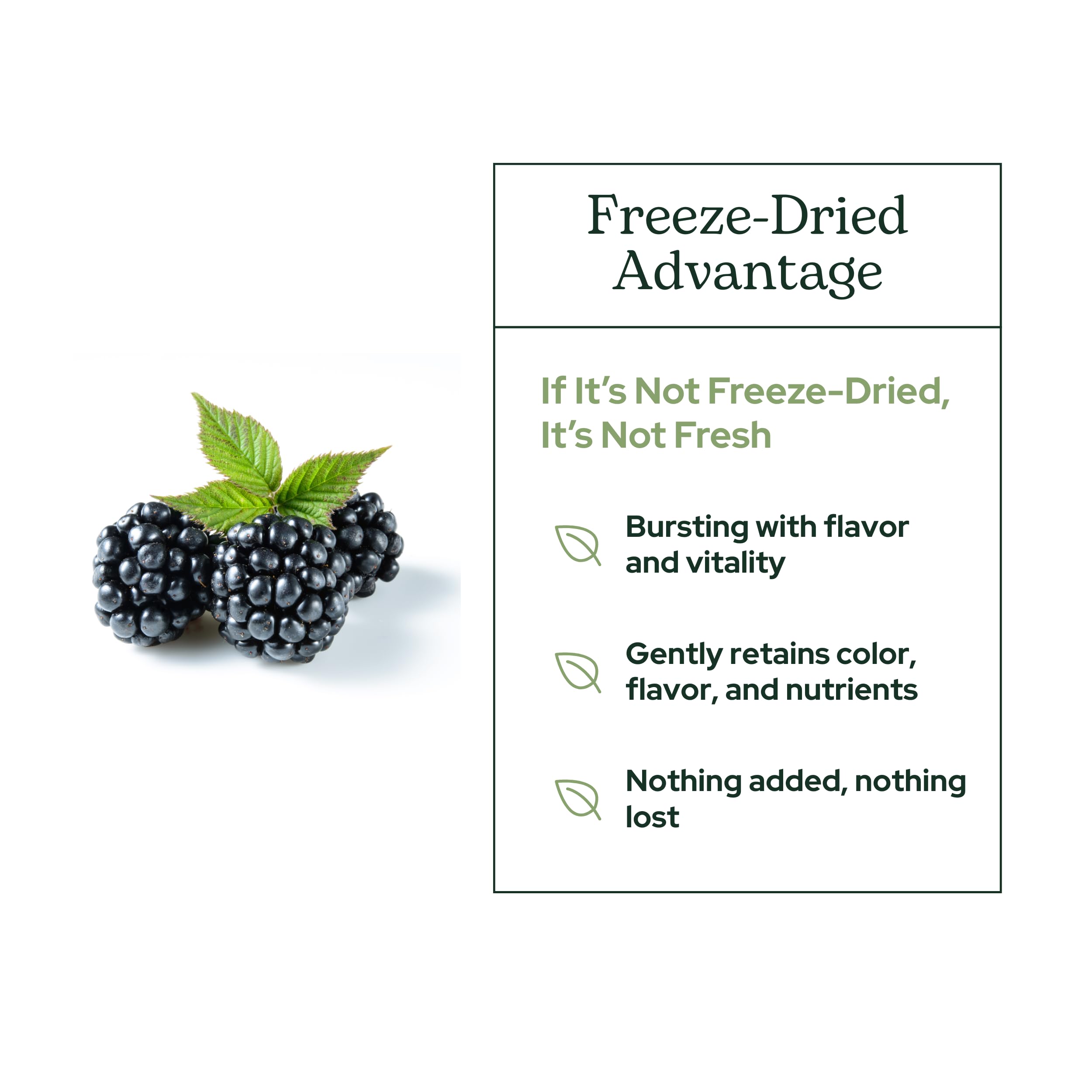 Foto 5 | Suplemento Eclectic Institute Blackberry Fdp 90 G Con Vitaminas - Venta Internacional.