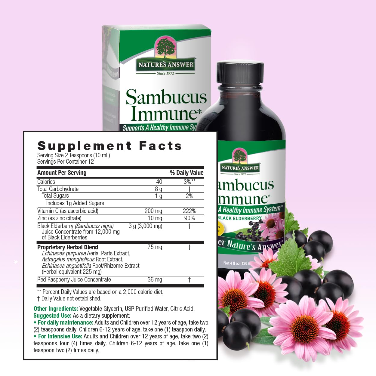 Foto 4 pulgar | Suplemento Nature's Answer Con Extracto De Sambucus Para El Apoyo Inmunológico  120 Ml - Venta Internacional.
