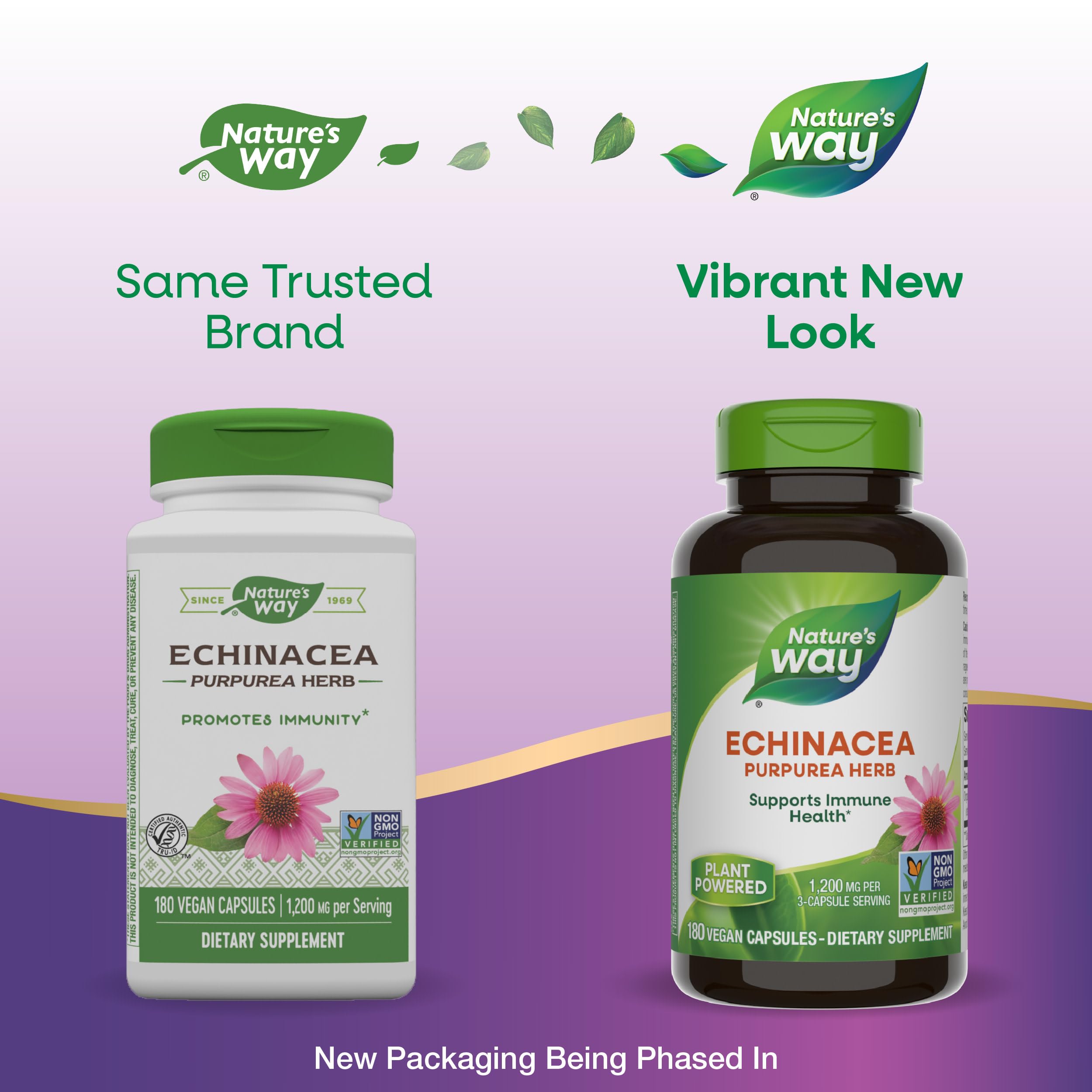 Foto 2 | Suplemento Nature's Way Echinacea Purpurea Herb 180 Cápsulas - Venta Internacional.