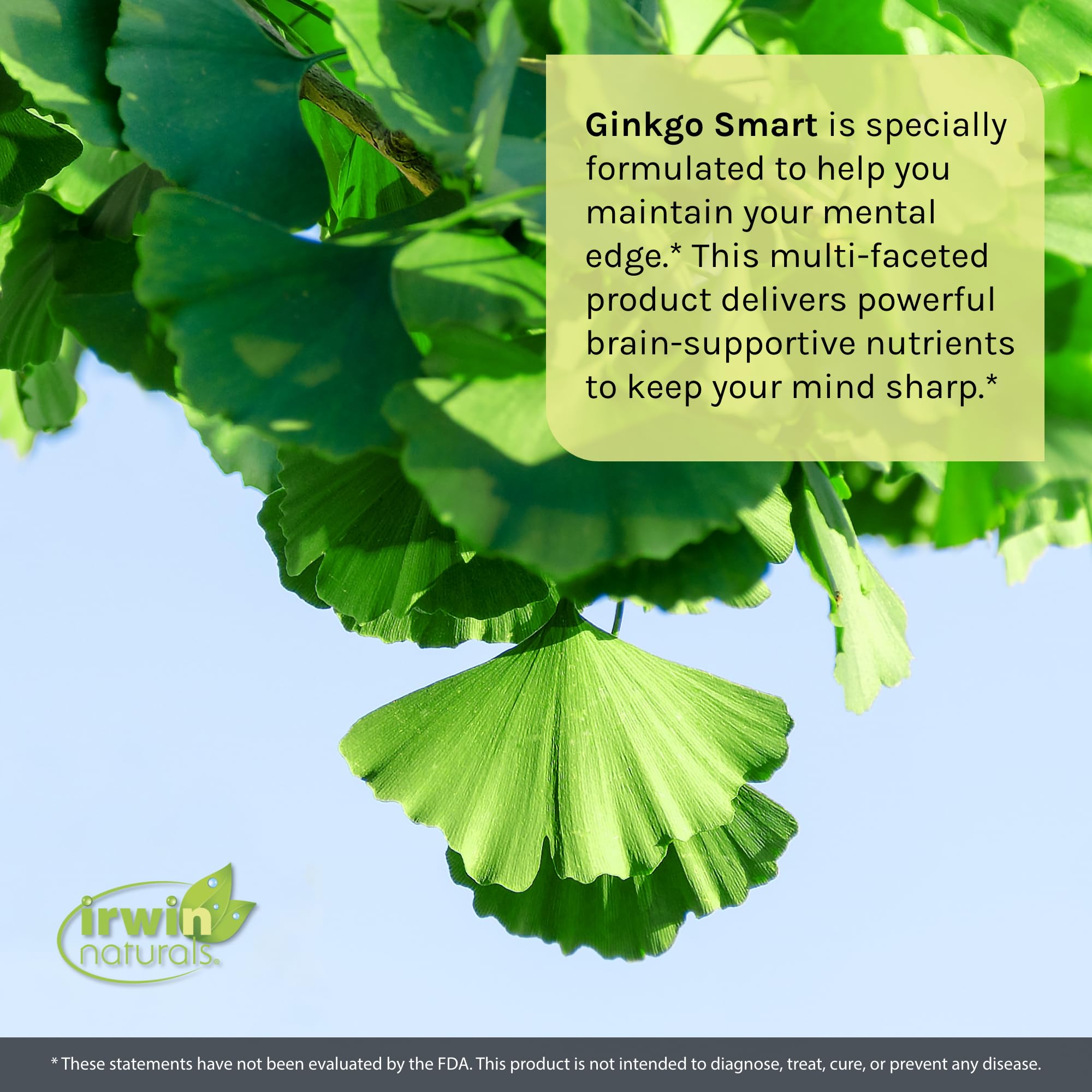 Foto 4 pulgar | Suplemento Irwin Naturals Ginkgo Smart Brain Booster 120 Cápsulas Blandas - Venta Internacional.