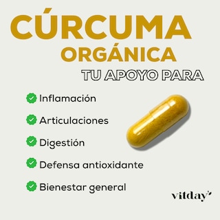 Foto 2 | Cúrcuma Vitday Vitagold 60 Cápsulas