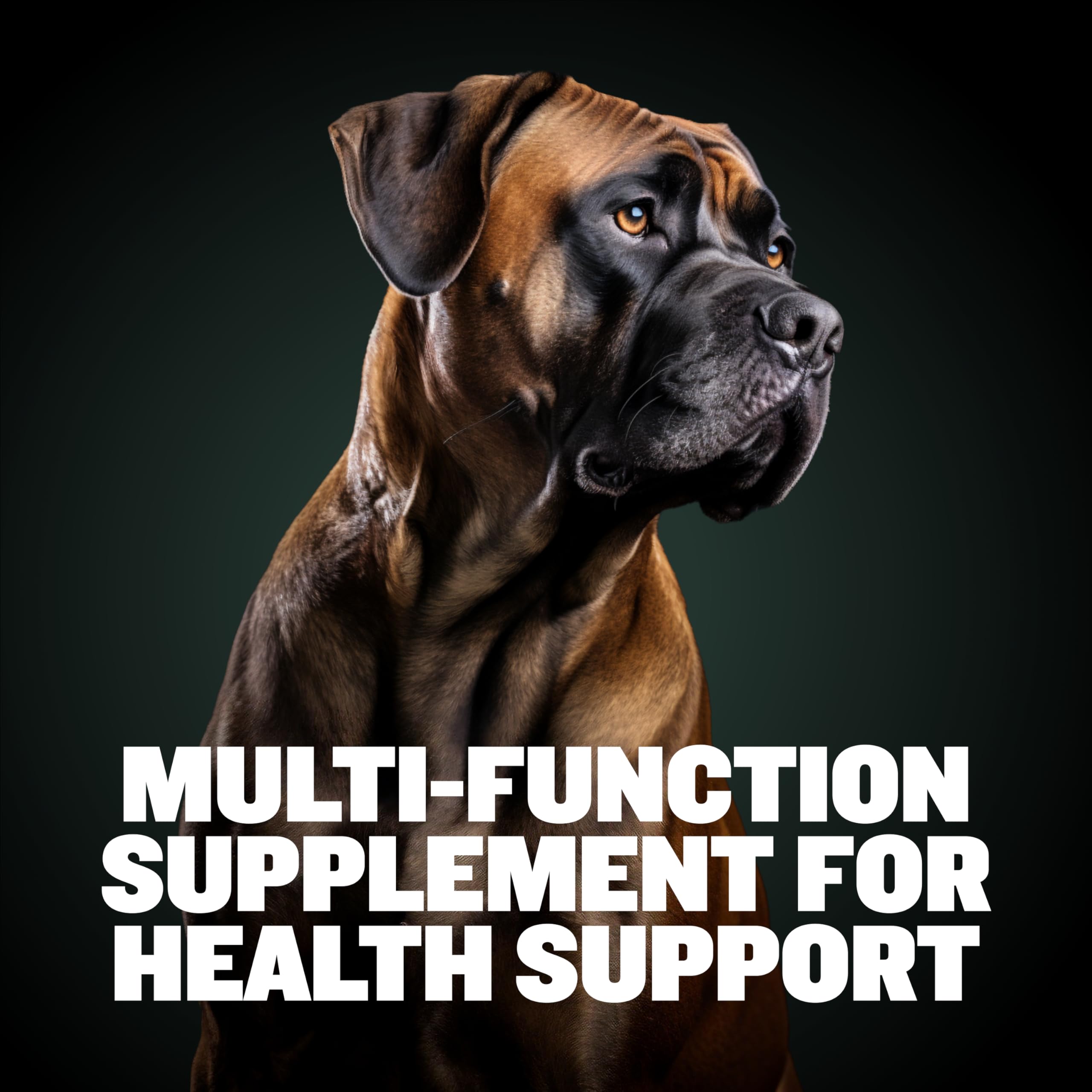 Foto 4 pulgar | Masticables Y Golosinas Multivitamínicas Para Perros Bully Max 9 En 1 75 Soft - Venta Internacional.