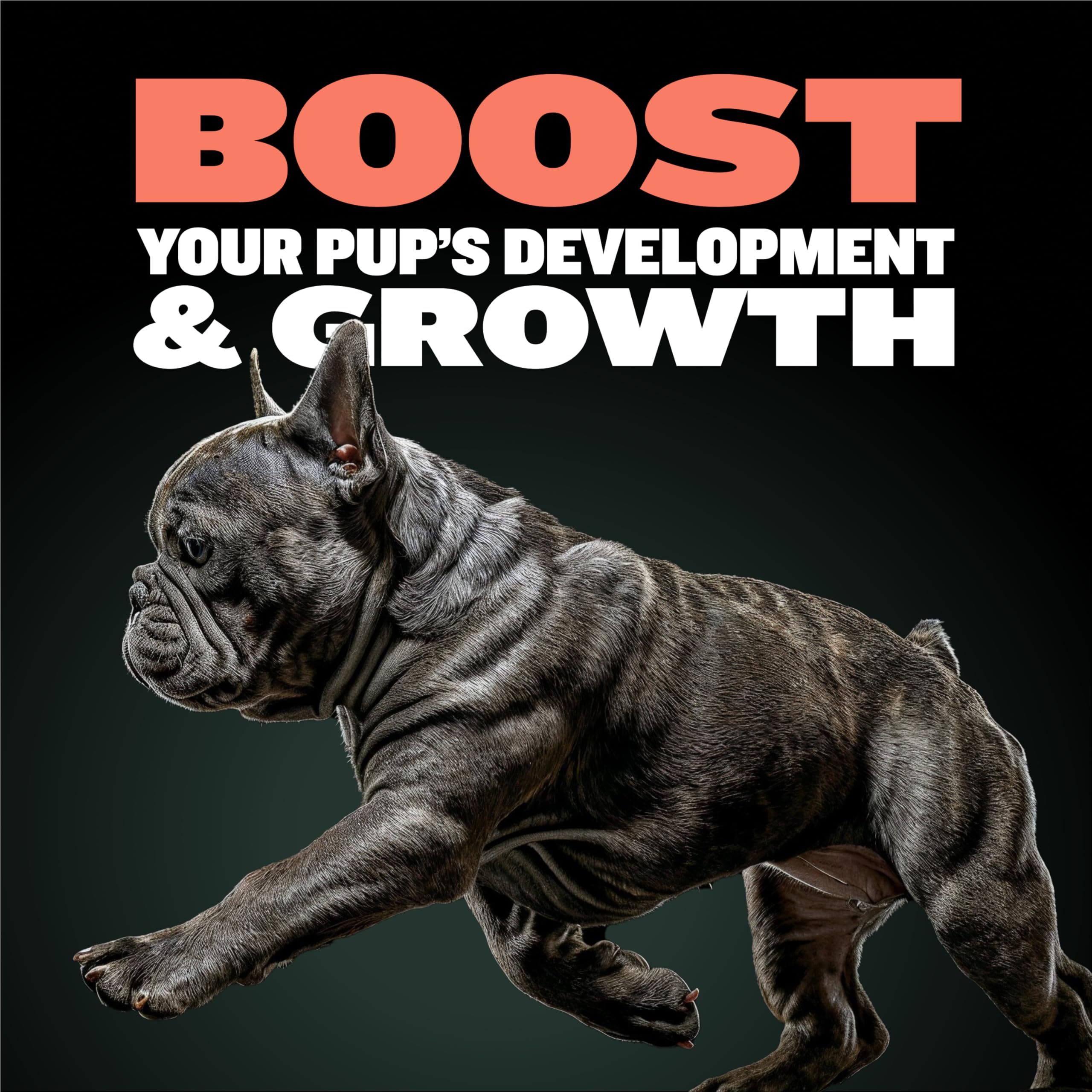 Foto 4 pulgar | Suplemento Bully Max Puppy Vitamins 30 Comprimidos - Venta Internacional.