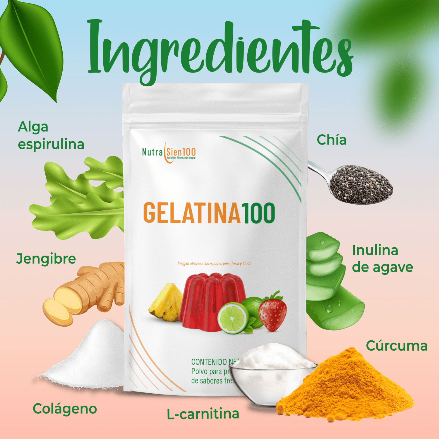 Foto 3 pulgar | GELATINA en polvo Sin Azúcar. Carnitina Colágeno Prebiótico Saludable Keto Paleo