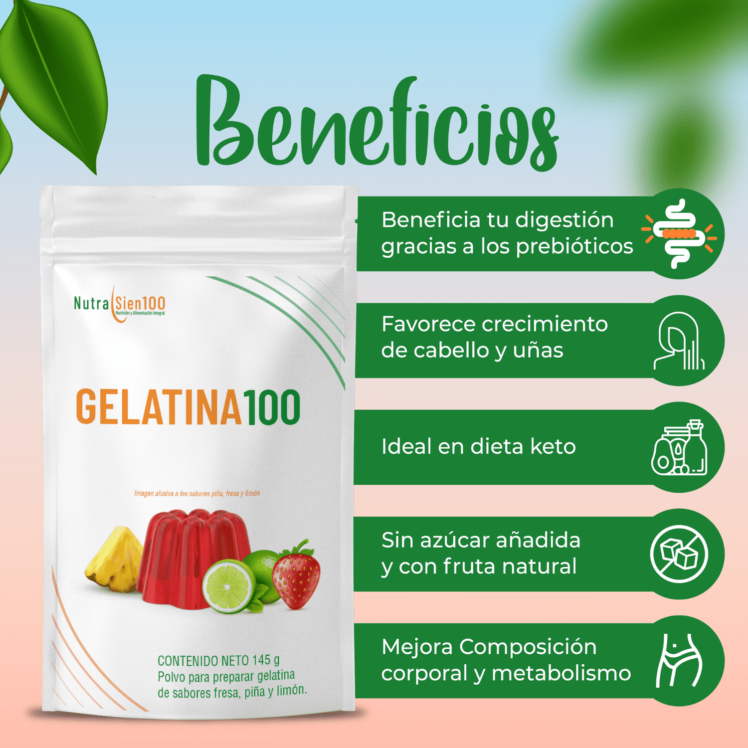 Foto 4 pulgar | GELATINA en polvo Sin Azúcar. Carnitina Colágeno Prebiótico Saludable Keto Paleo