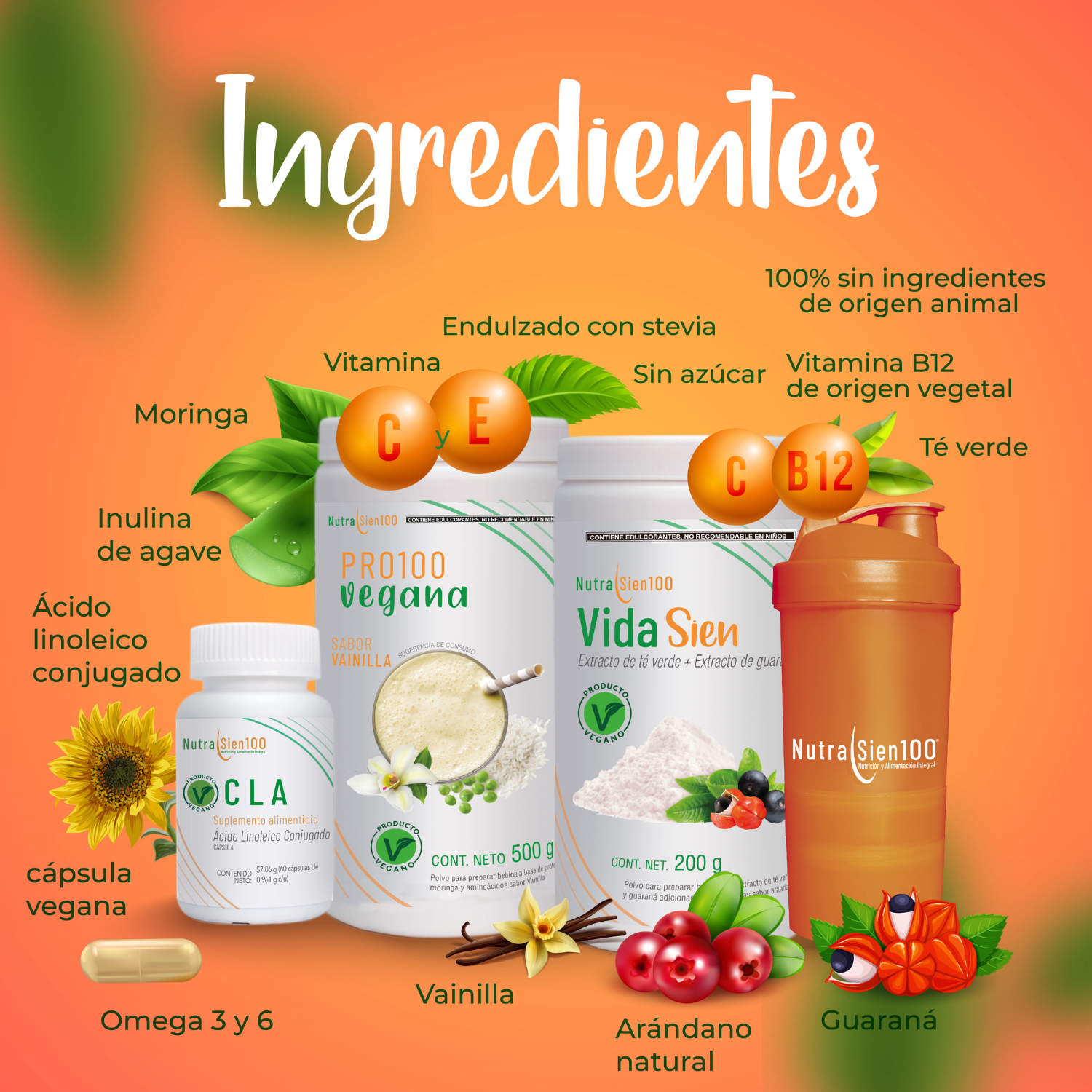 Foto 4 pulgar | Combo Nutrasien100: Proteína Vegana Vainilla, Suplementos, Shaker, Plan Y Seguimiento 30 Días. Bienestar Total.
