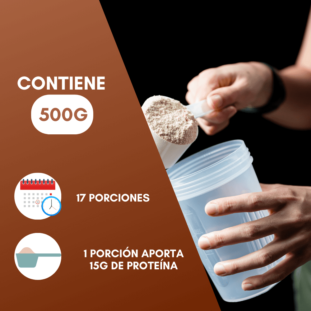 Foto 4 | Proteína Vegana en Polvo NutraSien100 Sabor Chocolate Sin Azúcar/ Sin Soya/ Sin Lactosa 500 g