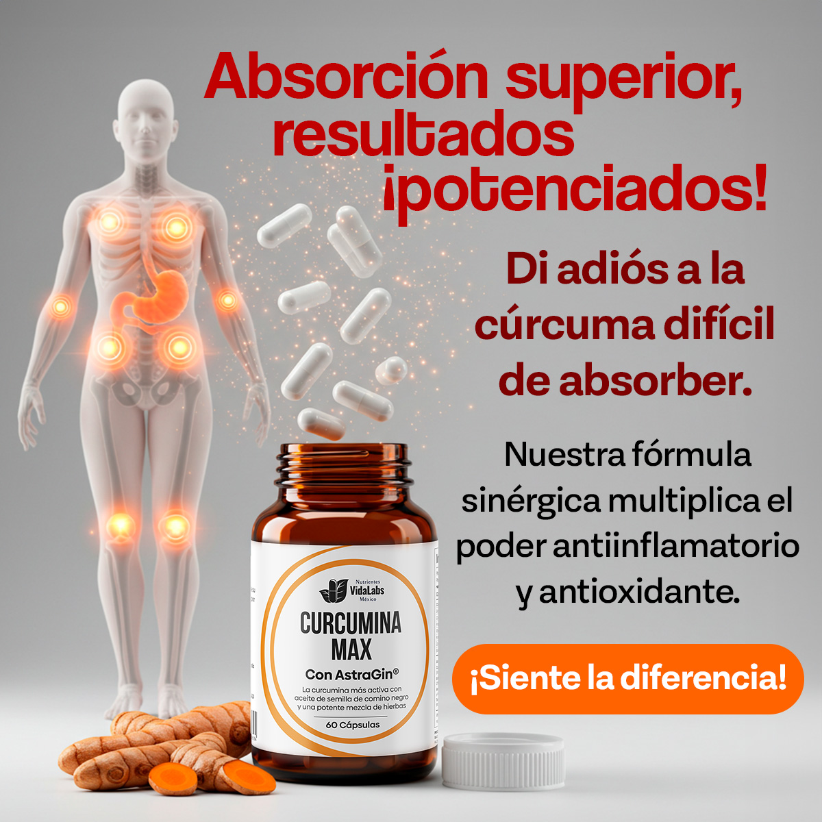 Foto 4 pulgar | Suplemento Curcumina Max Nutrientes Vidalabs México 60 Cápsulas