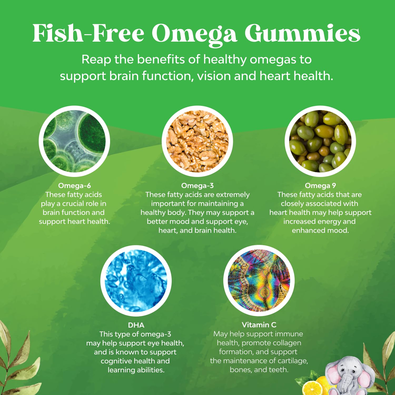 Foto 6 pulgar | Suplemento De Gomitas Dha Omega 3 De Natures Craft Kids Durante 1 Mes - Venta Internacional.