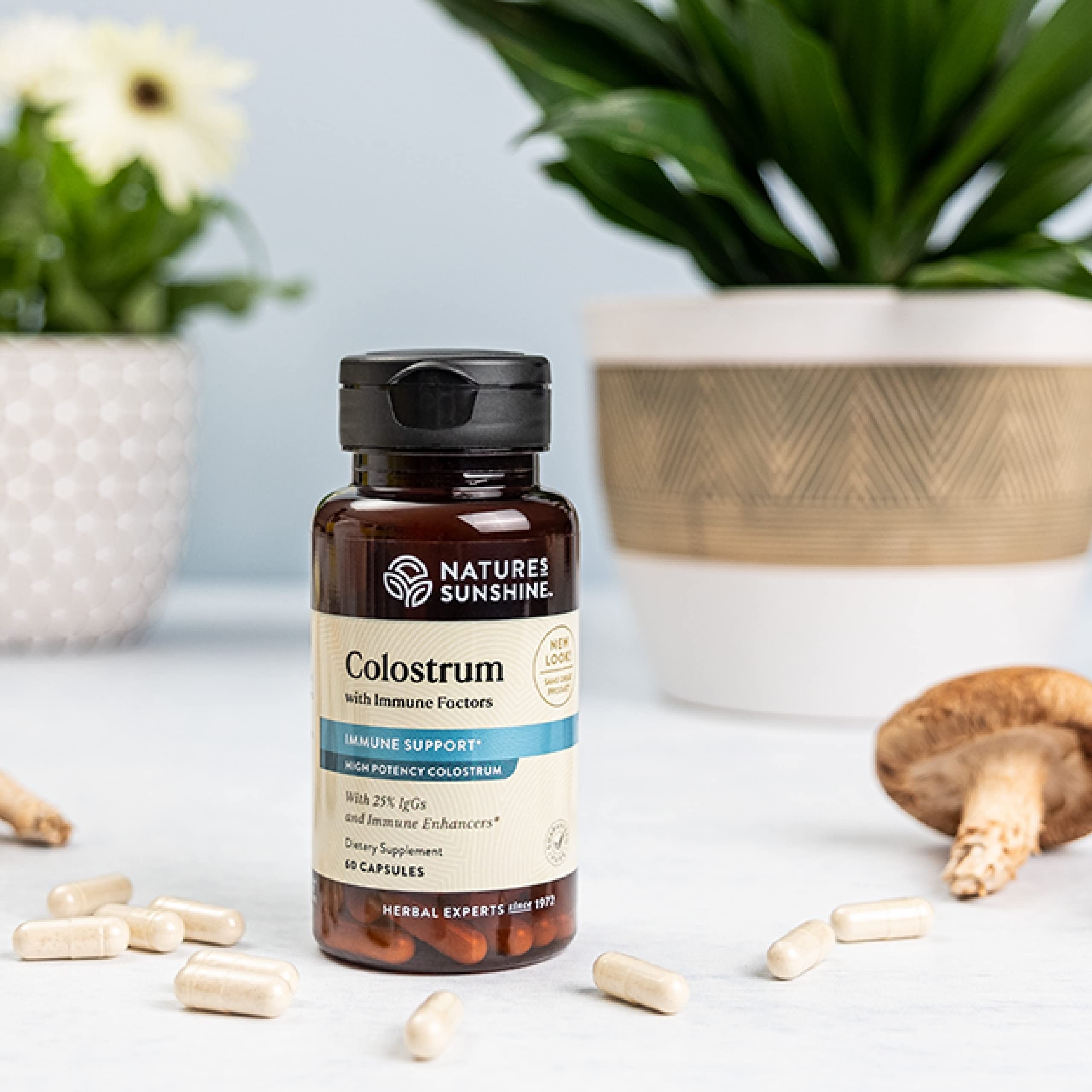 Foto 2 | Complementa El Calostro De Nature's Sunshine Con Factores Inmunológicos 60 Cápsulas - Venta Internacional.
