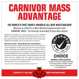 Foto 3 | Proteína De Ternera Mass Gainer Musclemeds Carnivor 2 27 Kg Vainilla - Venta Internacional.