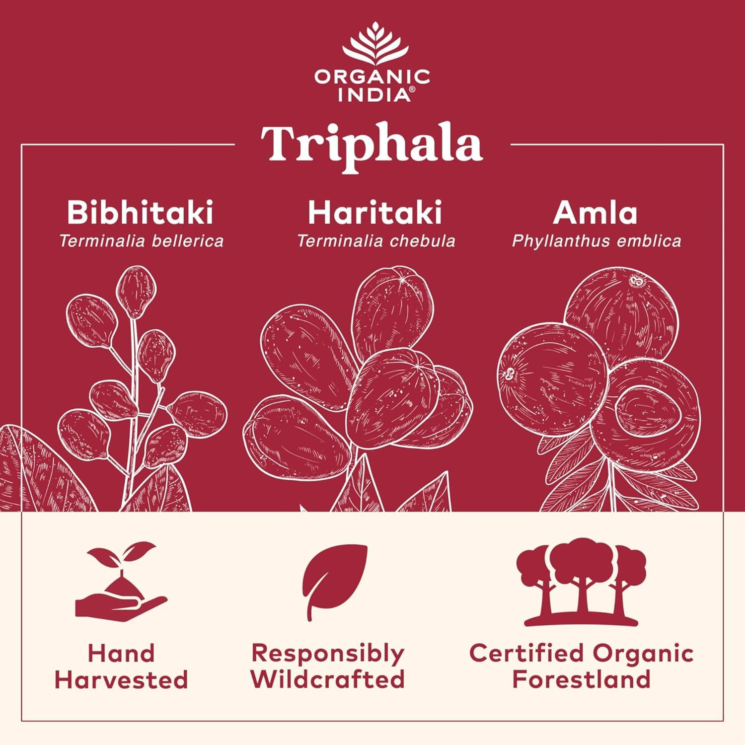 Foto 5 pulgar | Suplemento Organic India Triphala Capsules 60 Cápsulas - Venta Internacional.