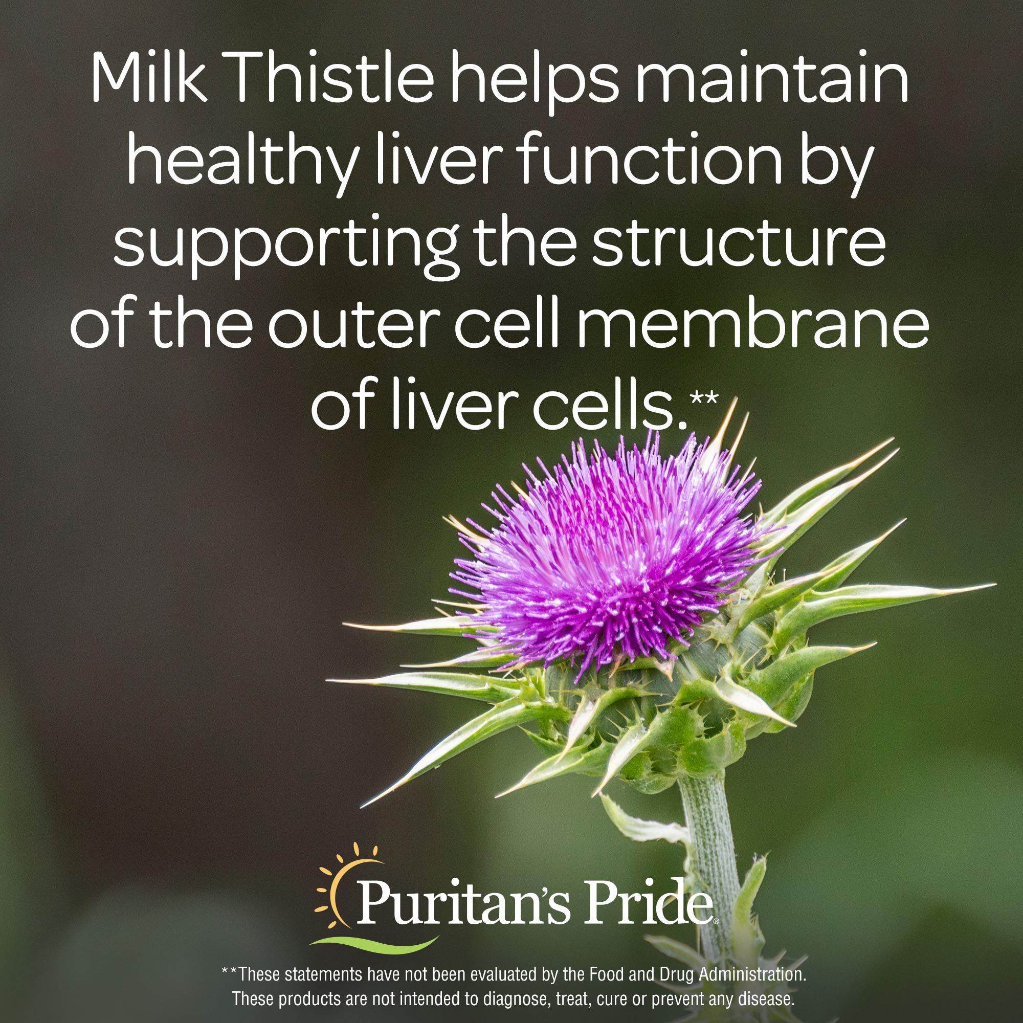 Foto 5 pulgar | Suplemento Puritan's Pride Milk Thistle Hígado Complex  90 Unidades - Venta Internacional.