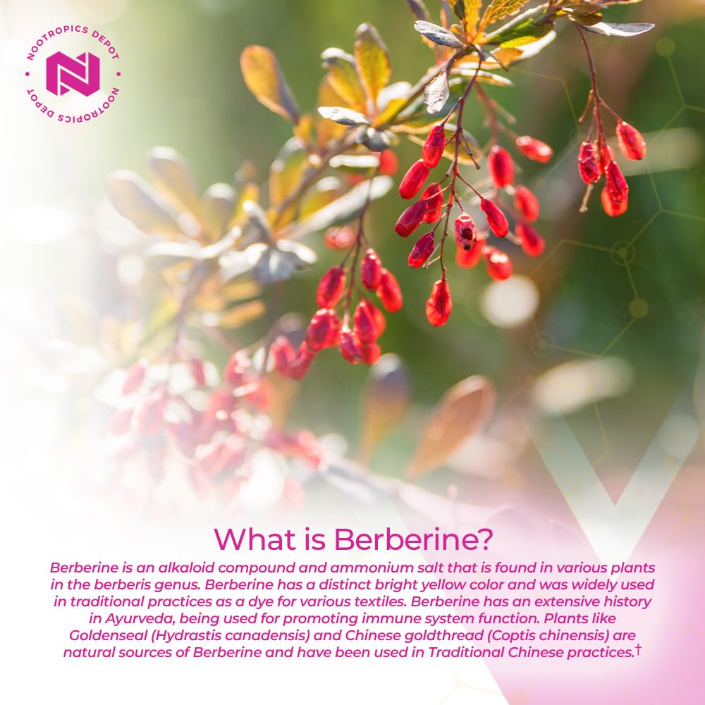 Foto 5 pulgar | Suplemento Nootropics Depot Berberine Hcl + Silimarina 500 Mg - Venta Internacional.